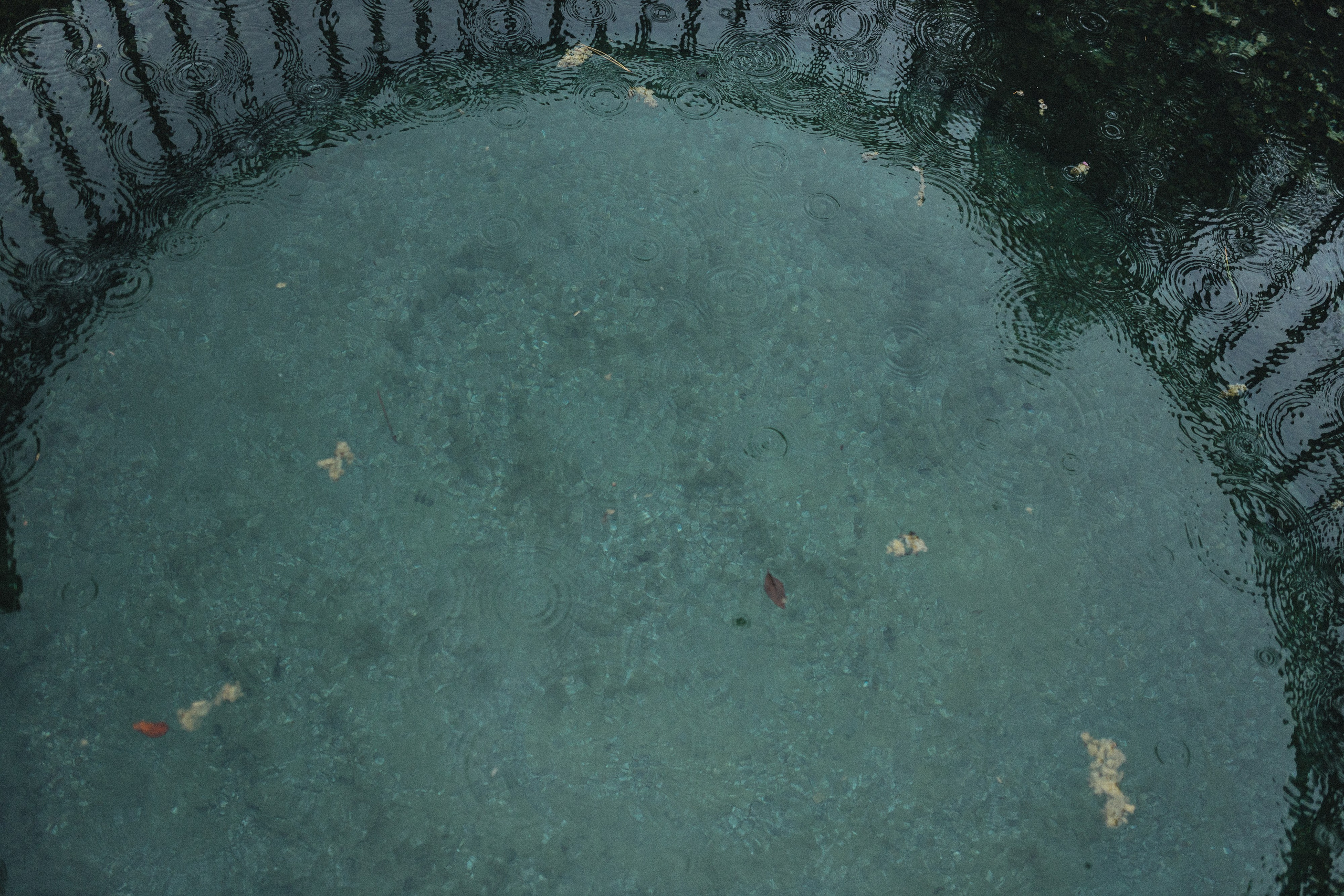 Roman and Viktoria Tuscany. Wedding photographer in Italy |Florence, Roma, Como, Tuscan, Venice