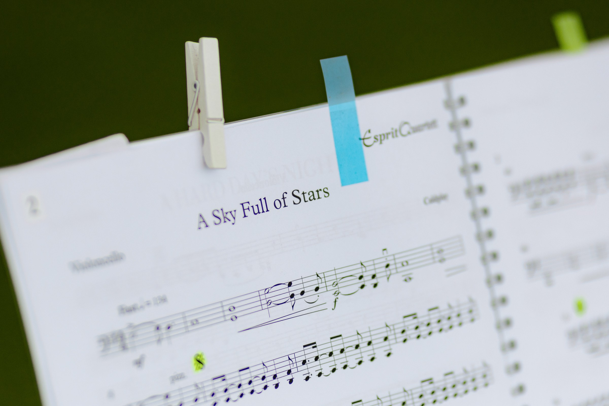 Florian and Fenifer Park Hotel Vitznau. Wedding photographer in Italy |Florence, Roma, Como, Tuscan, Venice