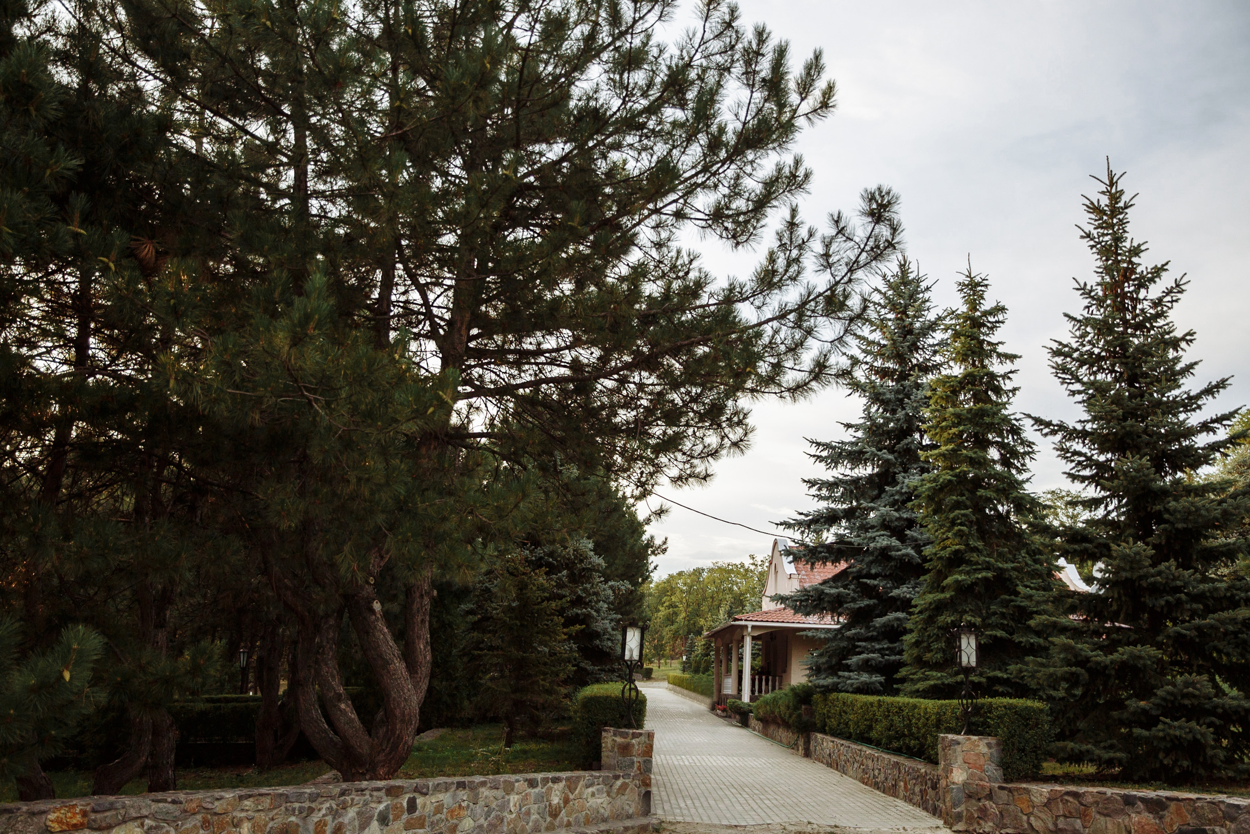 Artem&Liza. Wedding photographer in Italy |Florence, Roma, Como, Tuscan, Venice