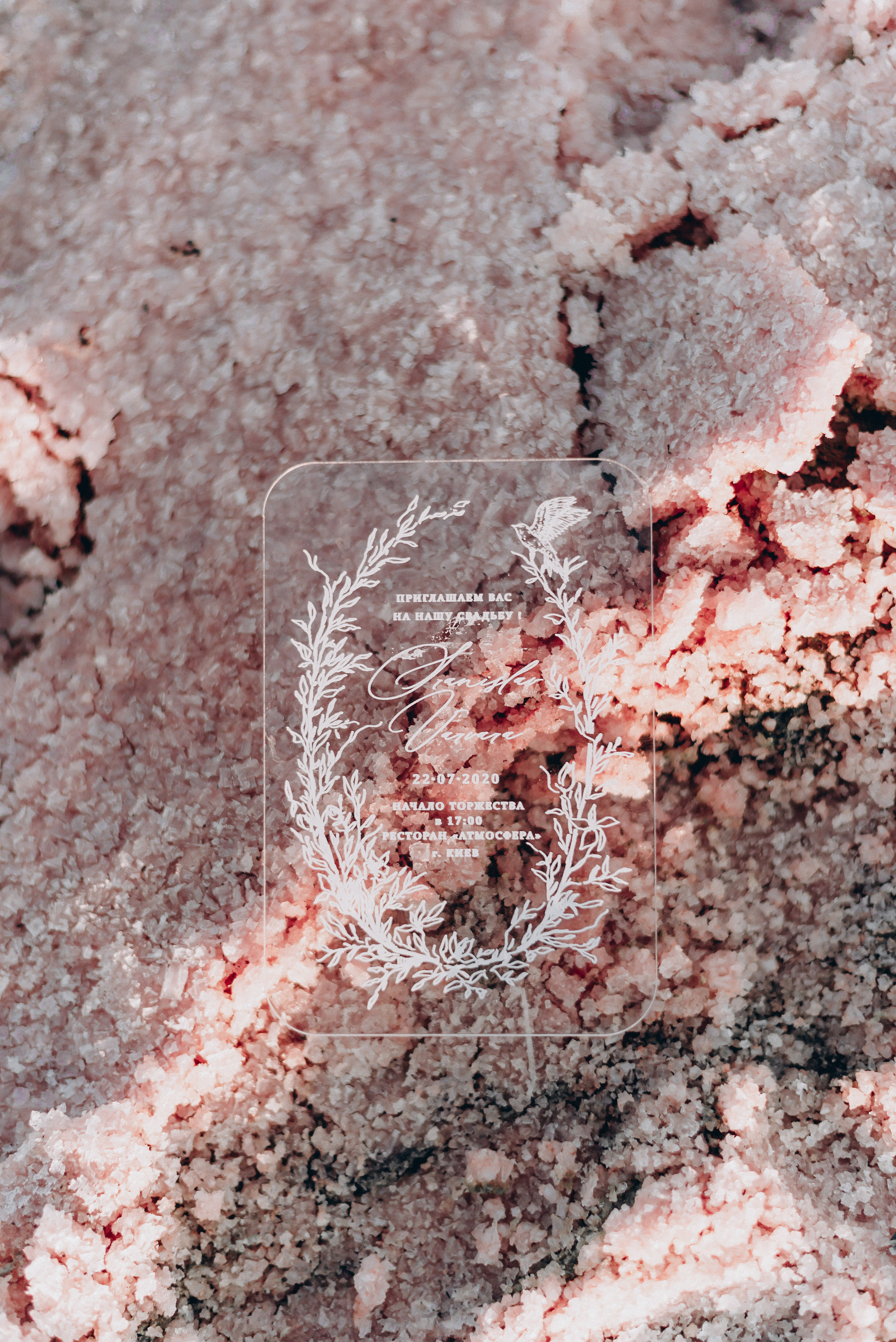 Pink Lake. Главная