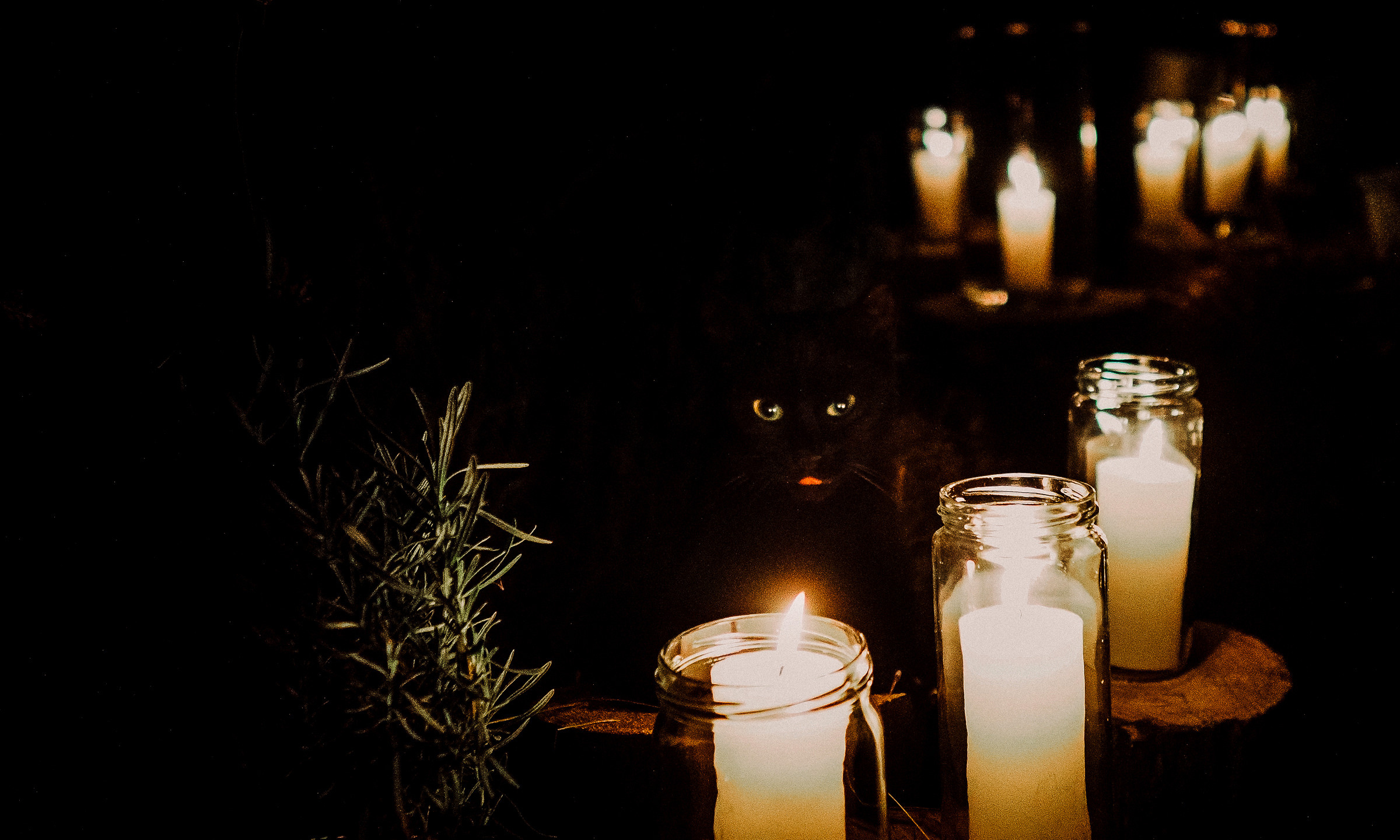 He, She & Horse. Wedding and family photographer in Kiev and Europe Oleg Nemchenko