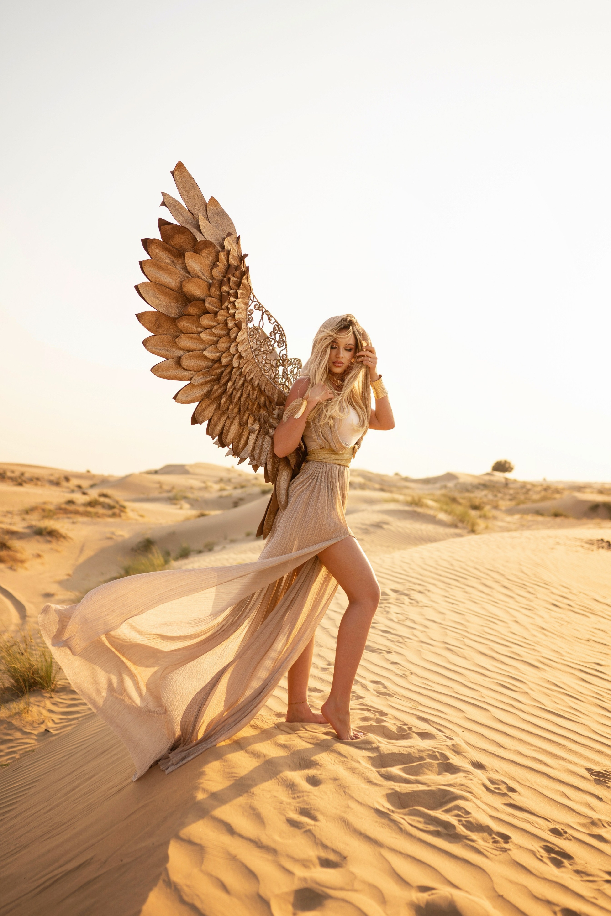 Photos with wings
