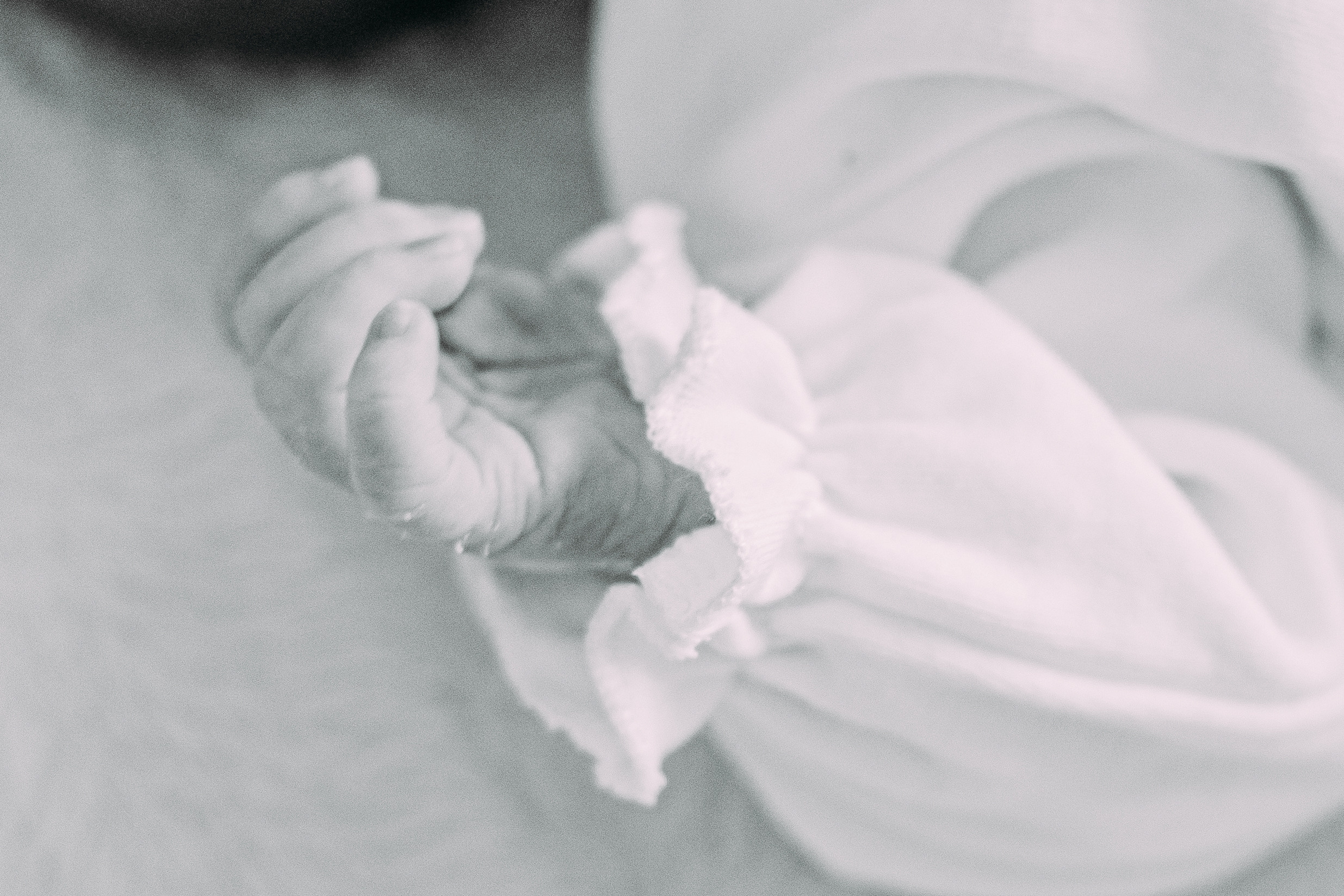 Сімейні. Весільний фотограф Іршава - Віталій Семак