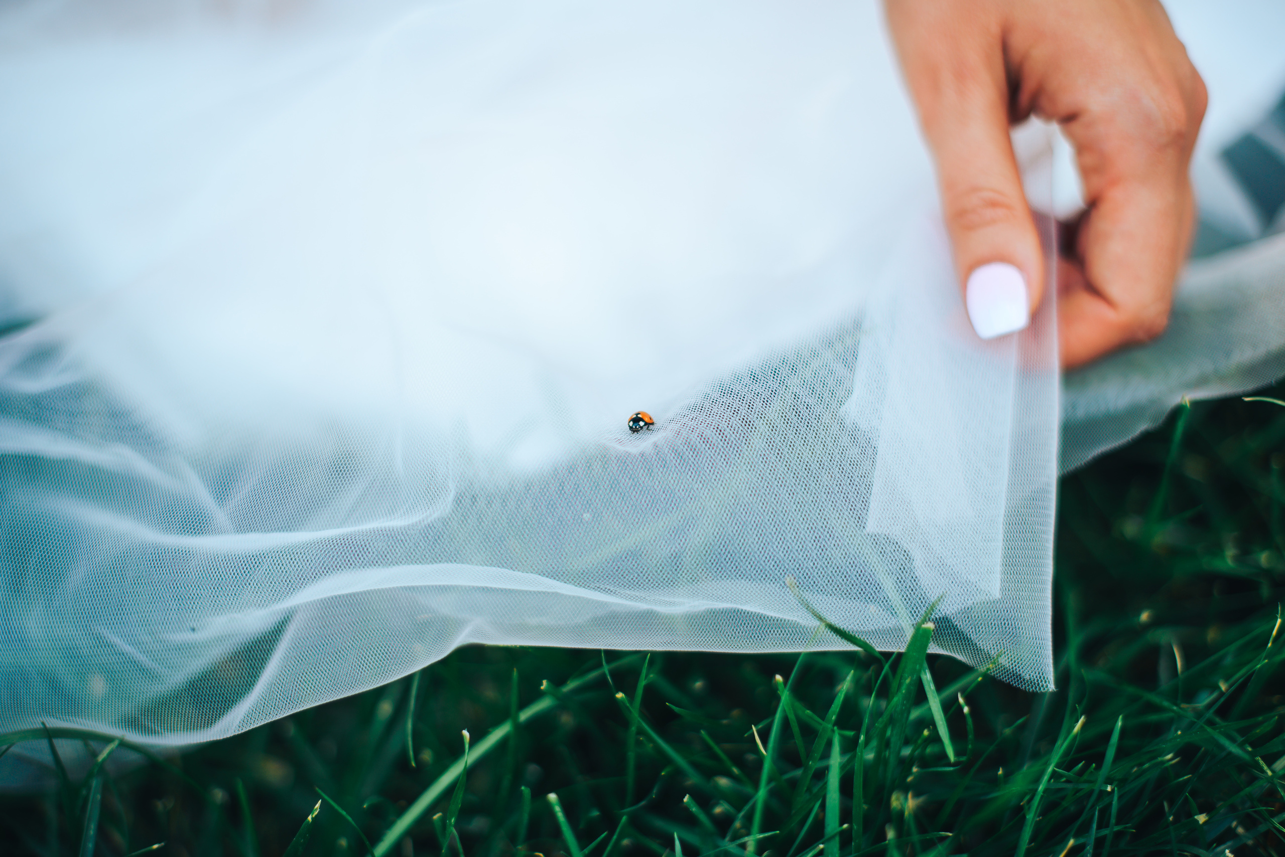 Hot summer wedding. Galina and Aleksey. Photographer in London Daria Agafonova