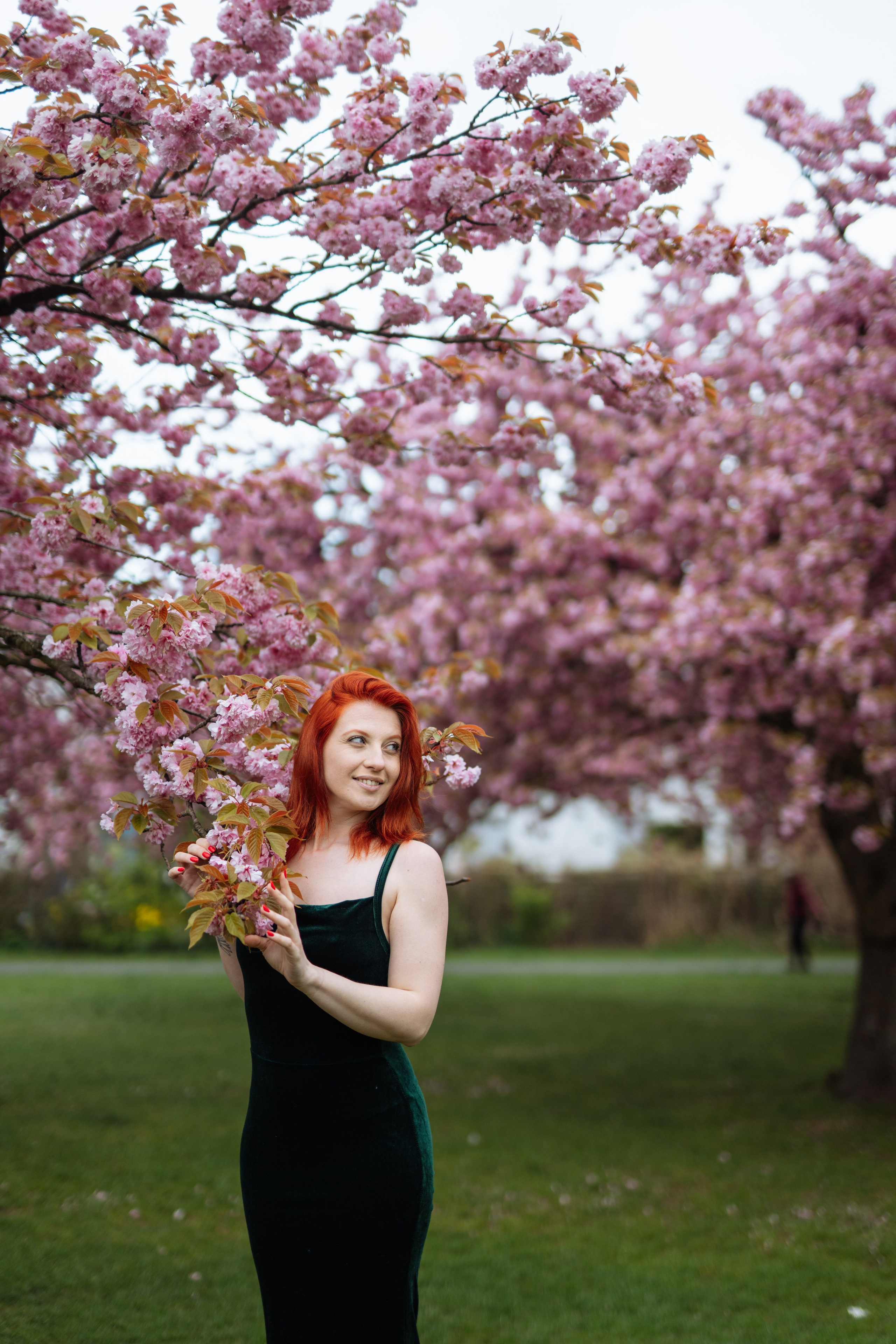 Fully blloming. Photographer in London Daria Agafonova