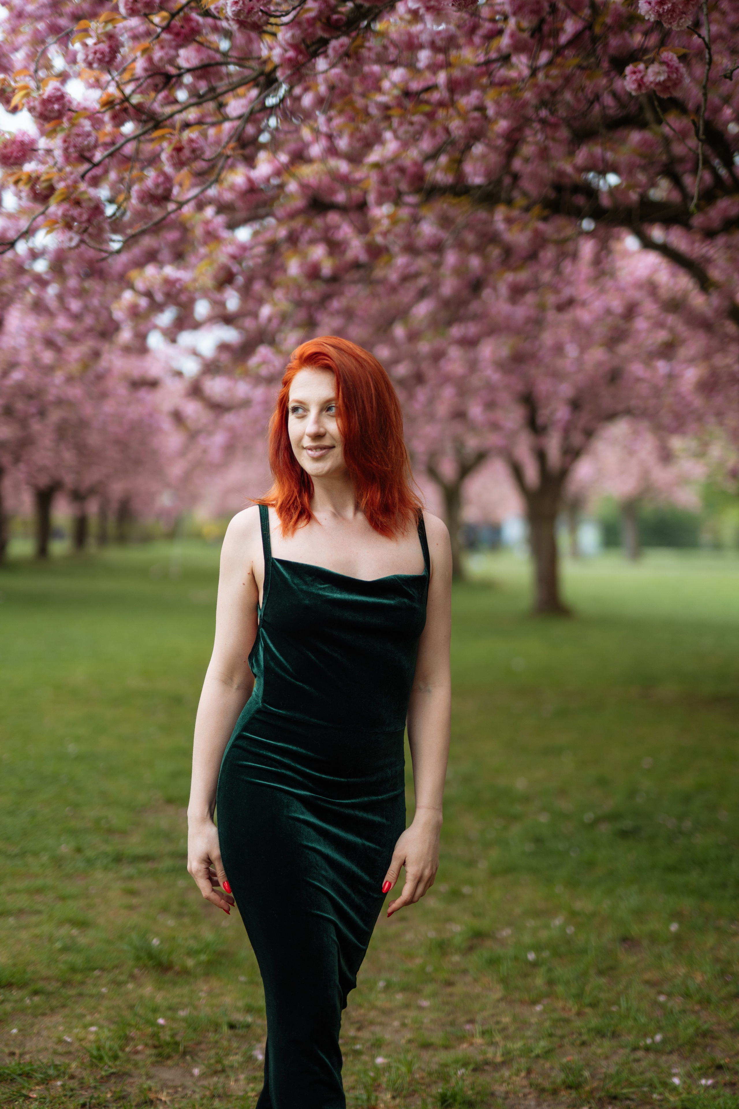 Fully blloming. Photographer in London Daria Agafonova