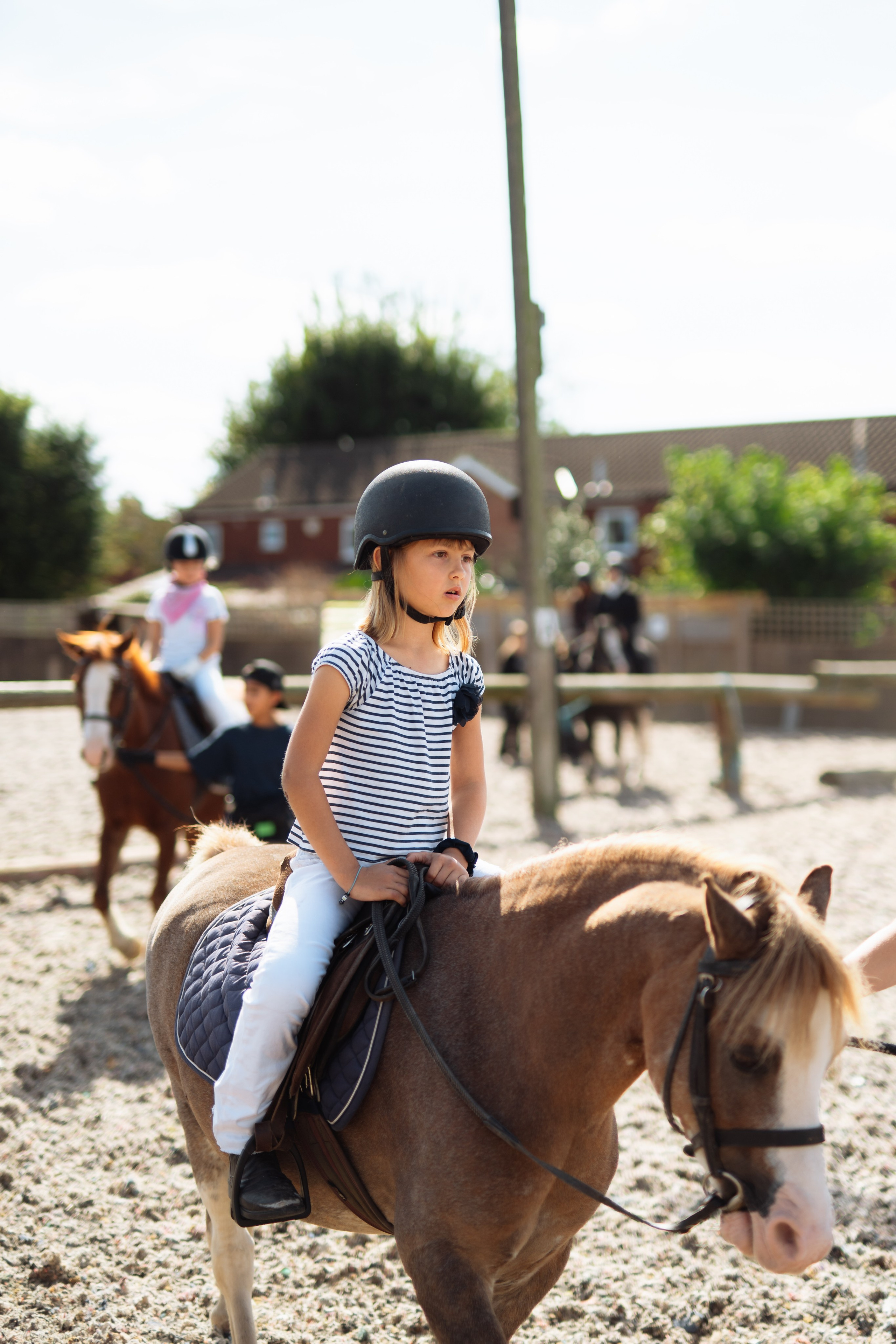 Horse party. Photographer in London Daria Agafonova