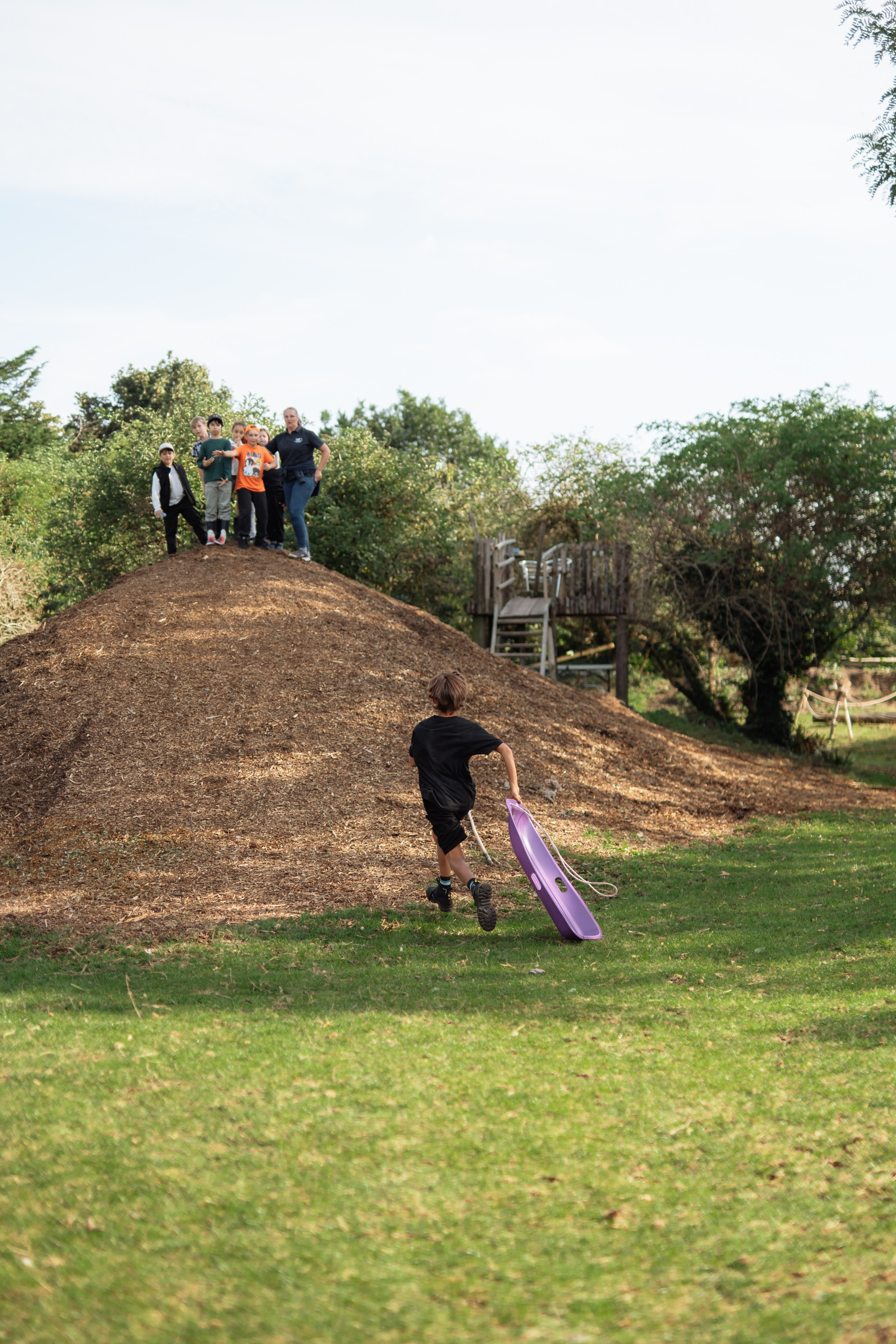 Horse party. Photographer in London Daria Agafonova