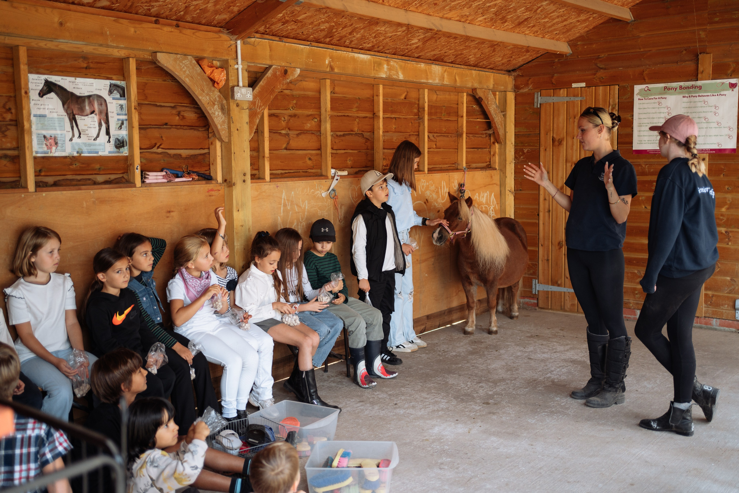 Horse party. Photographer in London Daria Agafonova