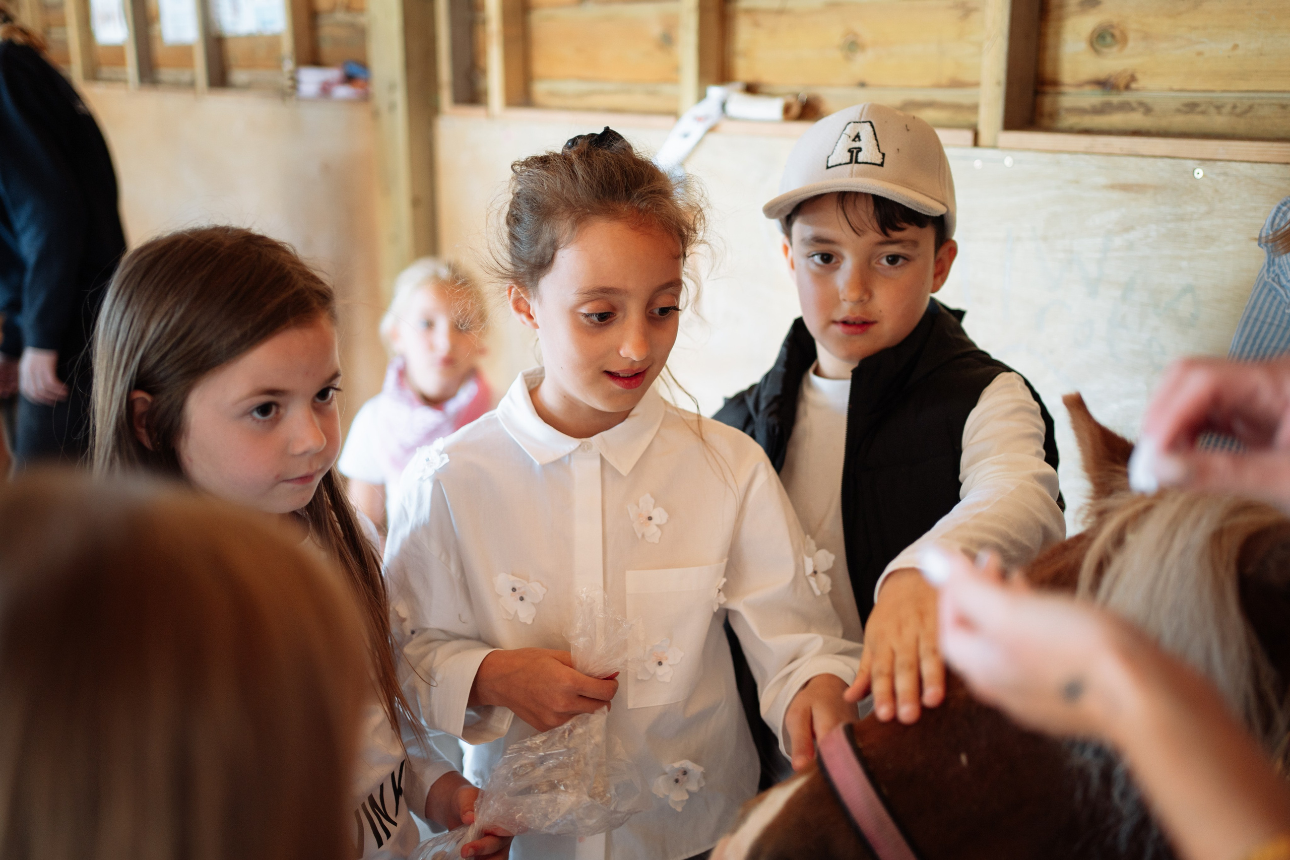 Horse party. Photographer in London Daria Agafonova