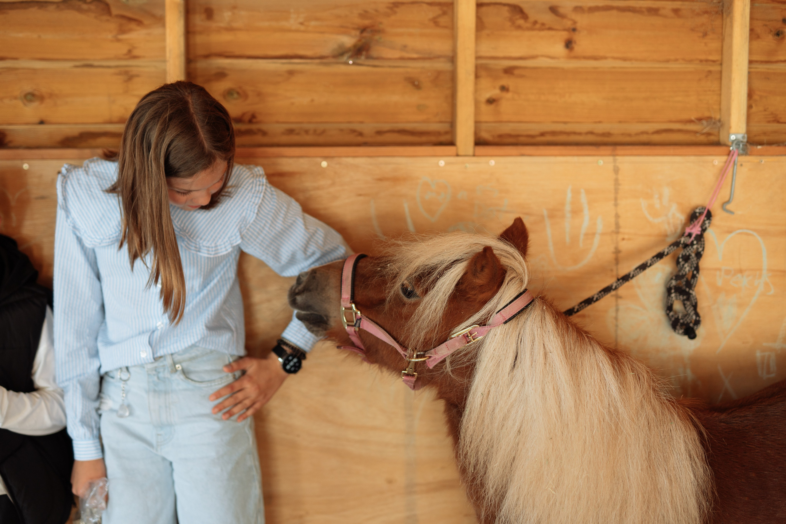 Horse party. Photographer in London Daria Agafonova