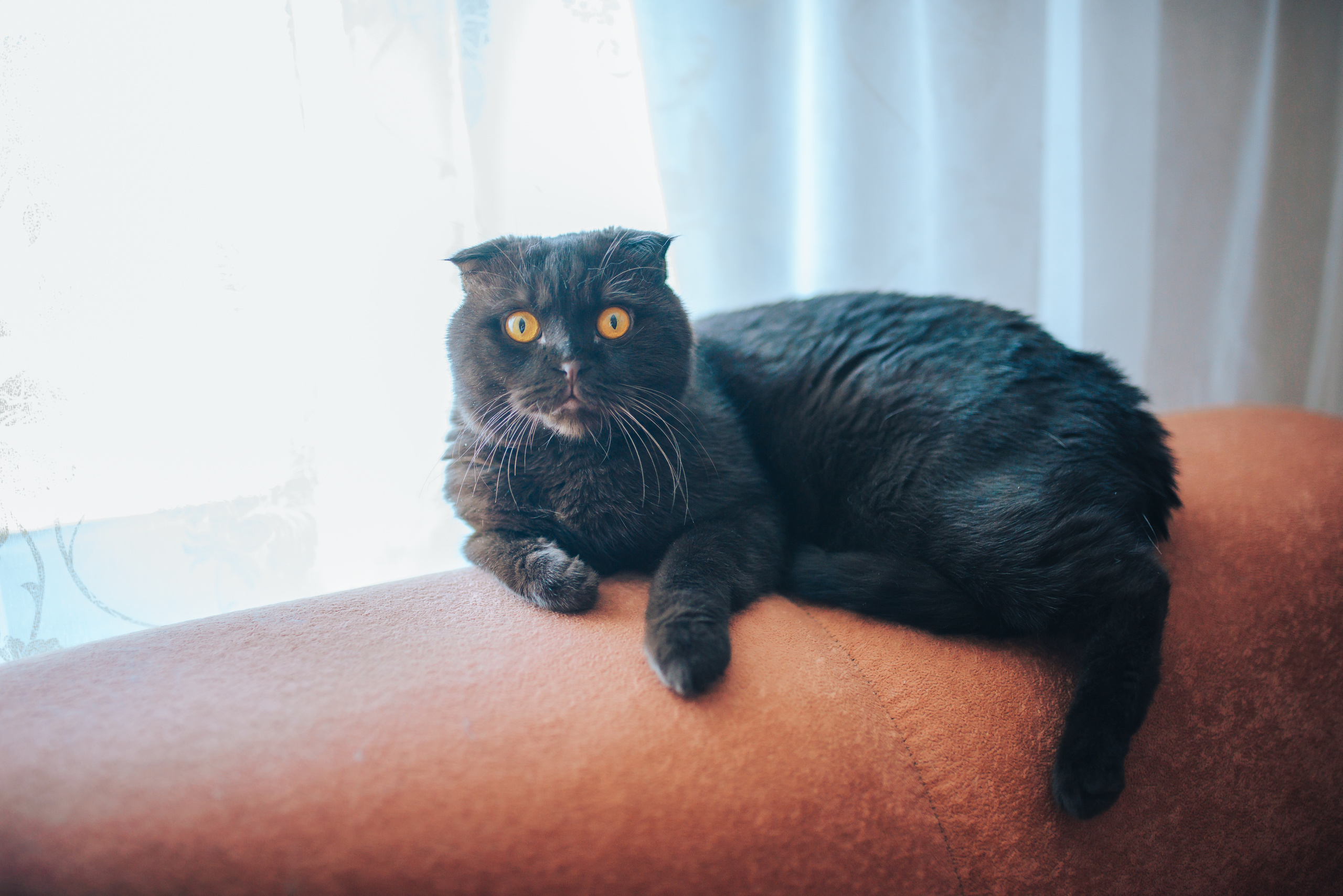 I’ve been waiting for you all my life. Sergey and Inna. Photographer in London Daria Agafonova