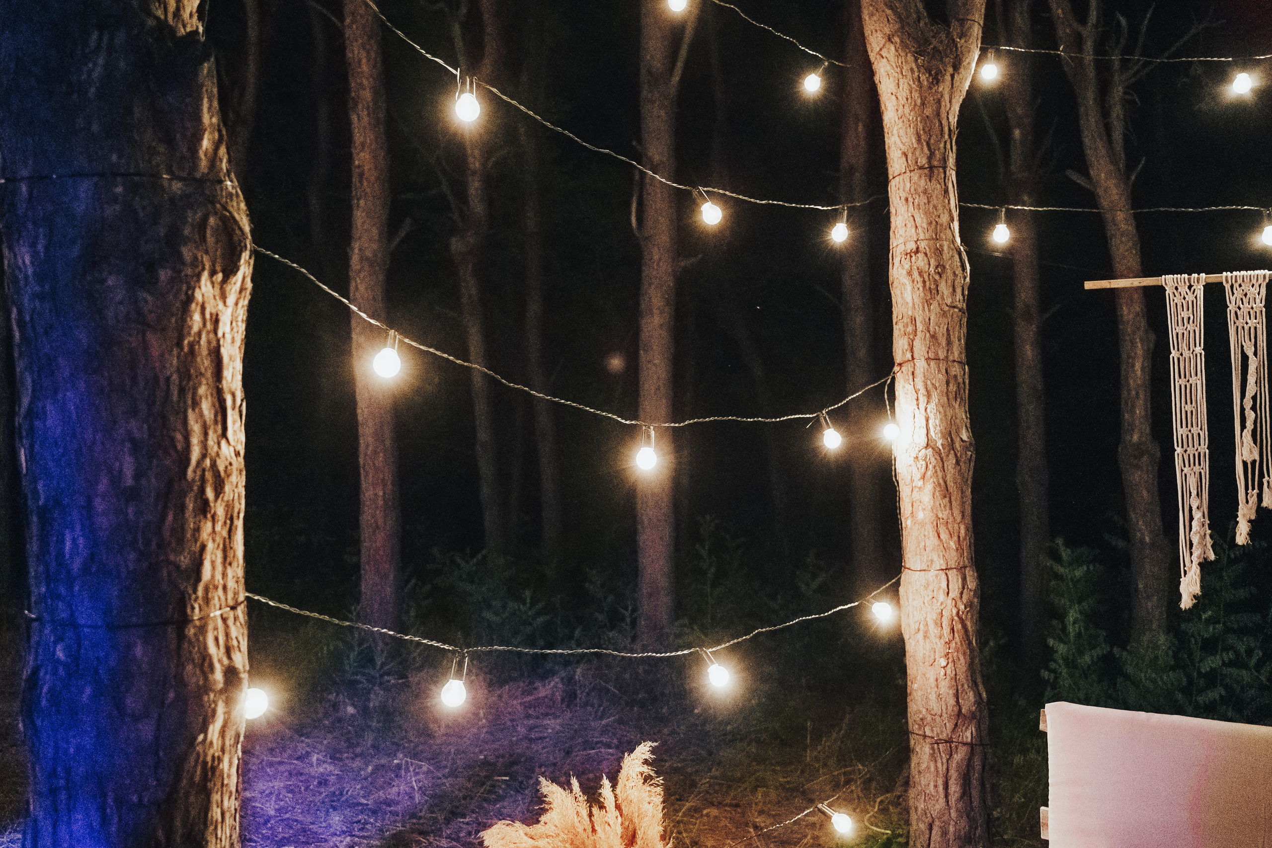 Forest wedding. Maria and Oleksandr. Photographer in London Daria Agafonova