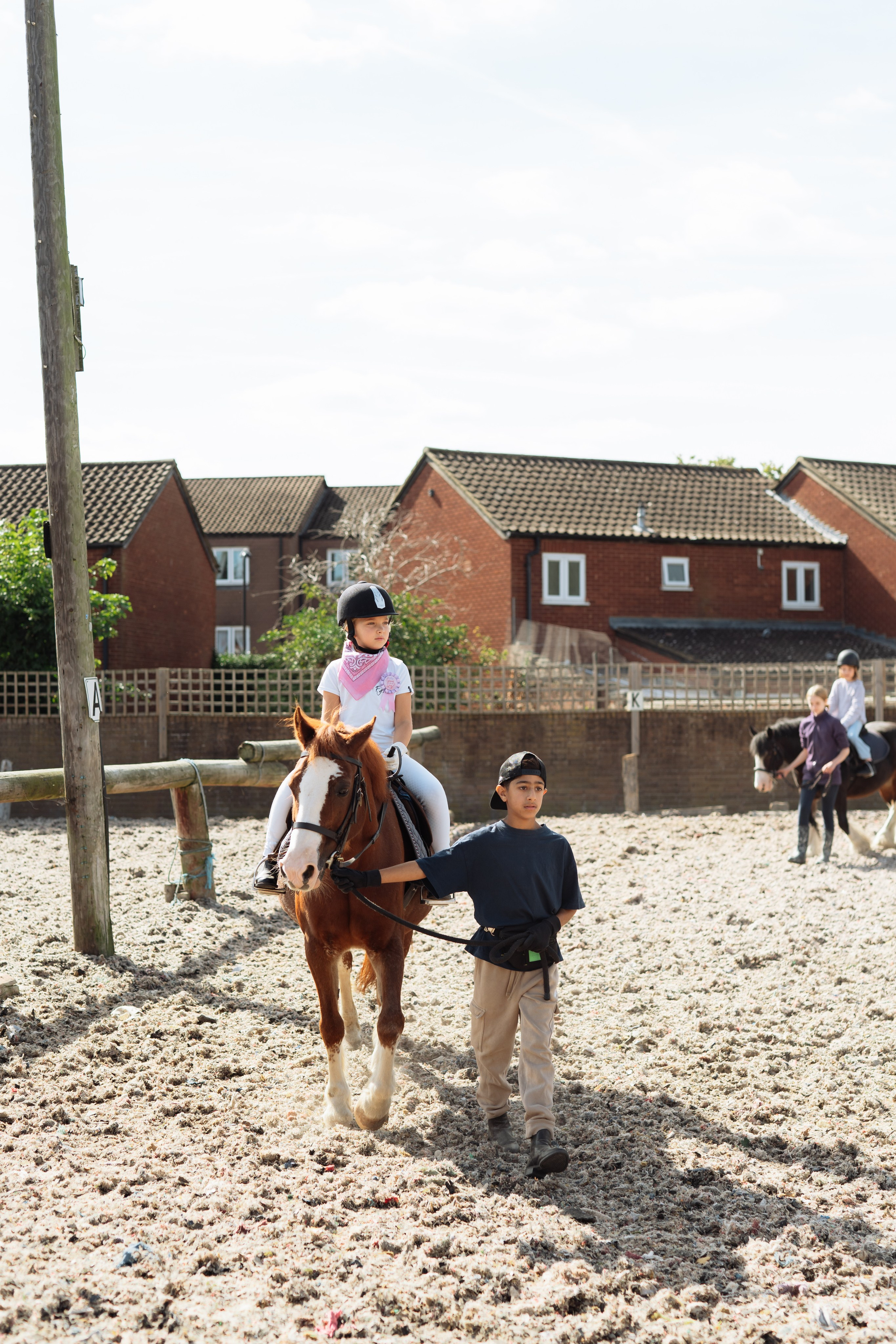 Horse party. Photographer in London Daria Agafonova