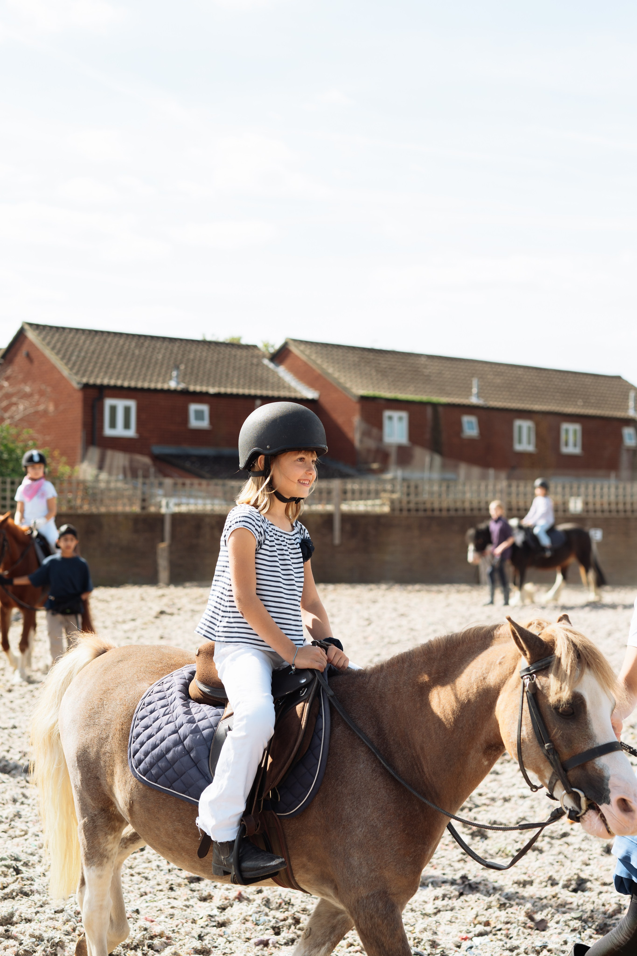 Horse party. Photographer in London Daria Agafonova