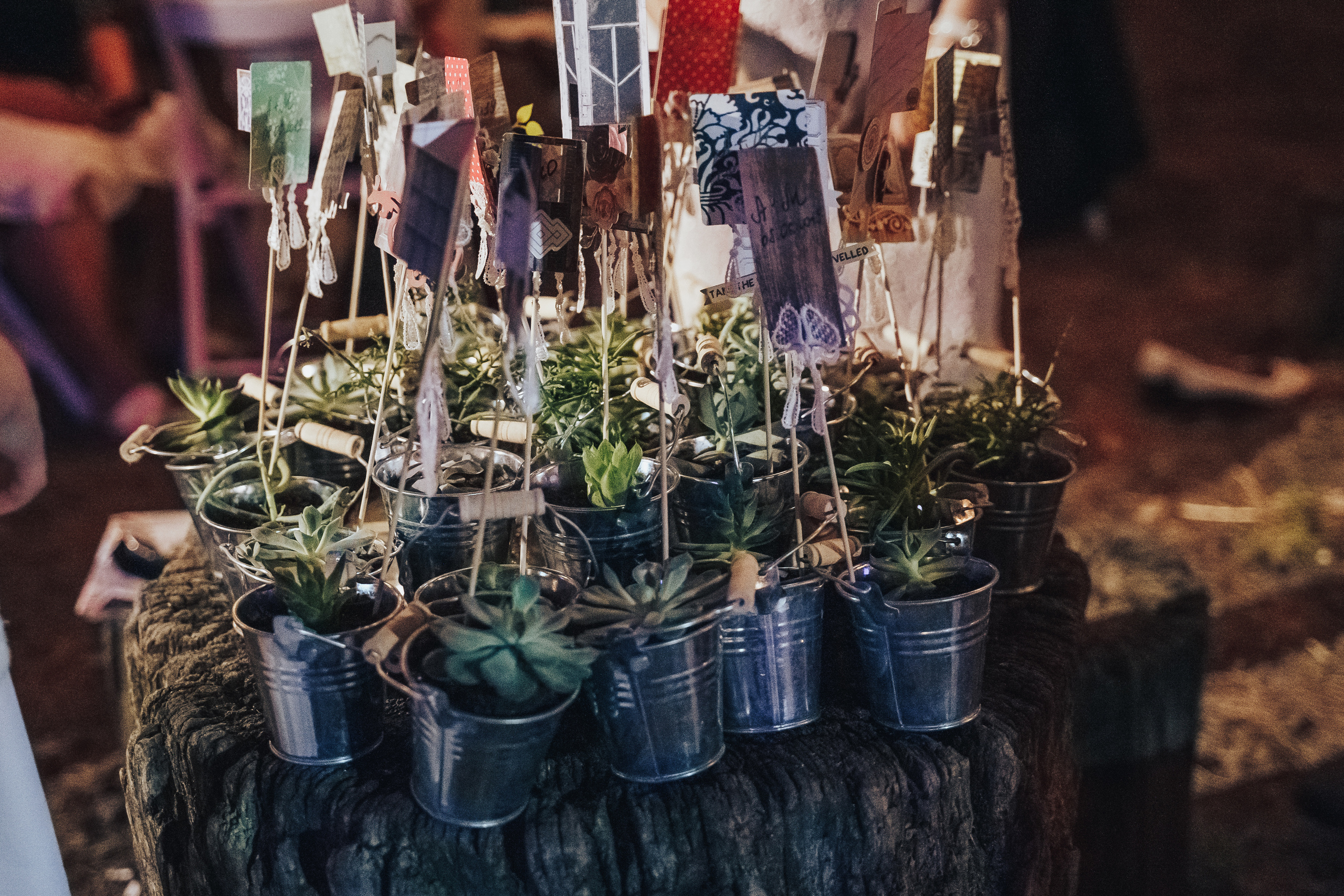 Forest wedding. Maria and Oleksandr. Photographer in London Daria Agafonova