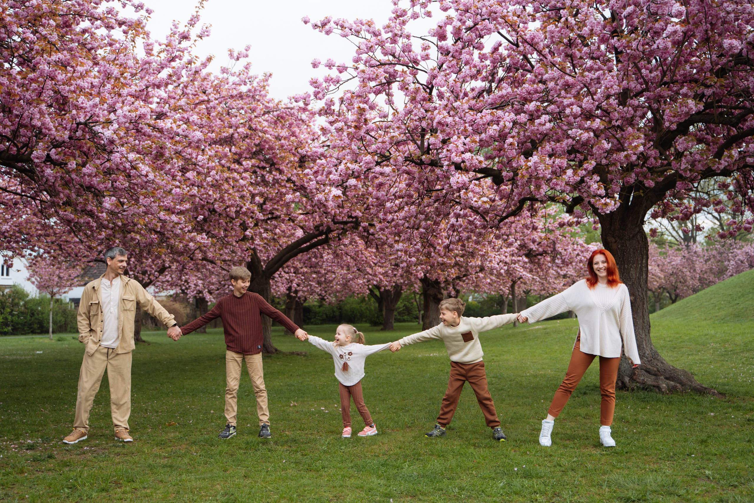 Fully blloming. Photographer in London Daria Agafonova