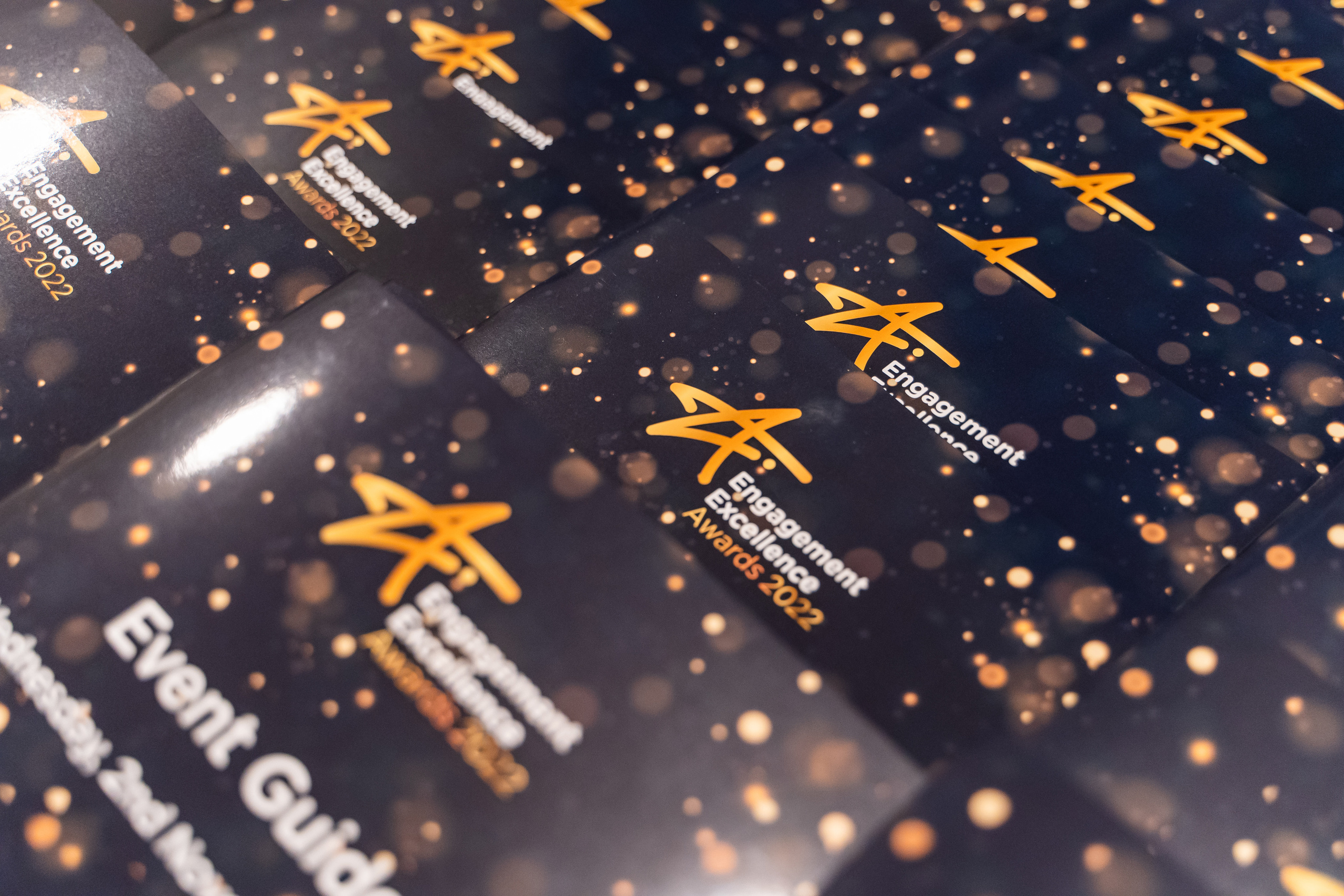 Engagement Excellence Awards. London. Photographer in London Daria Agafonova