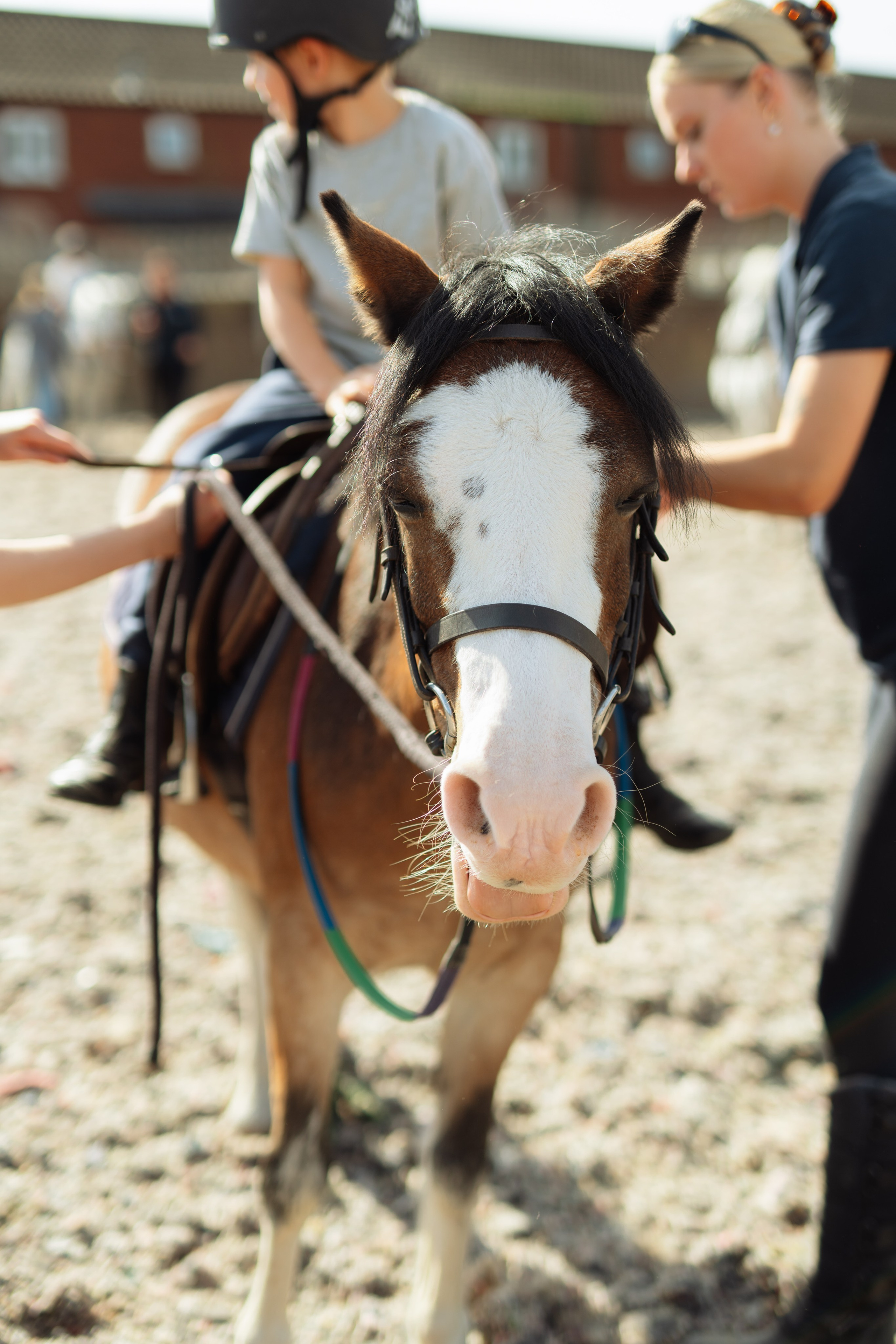 Horse party. Photographer in London Daria Agafonova