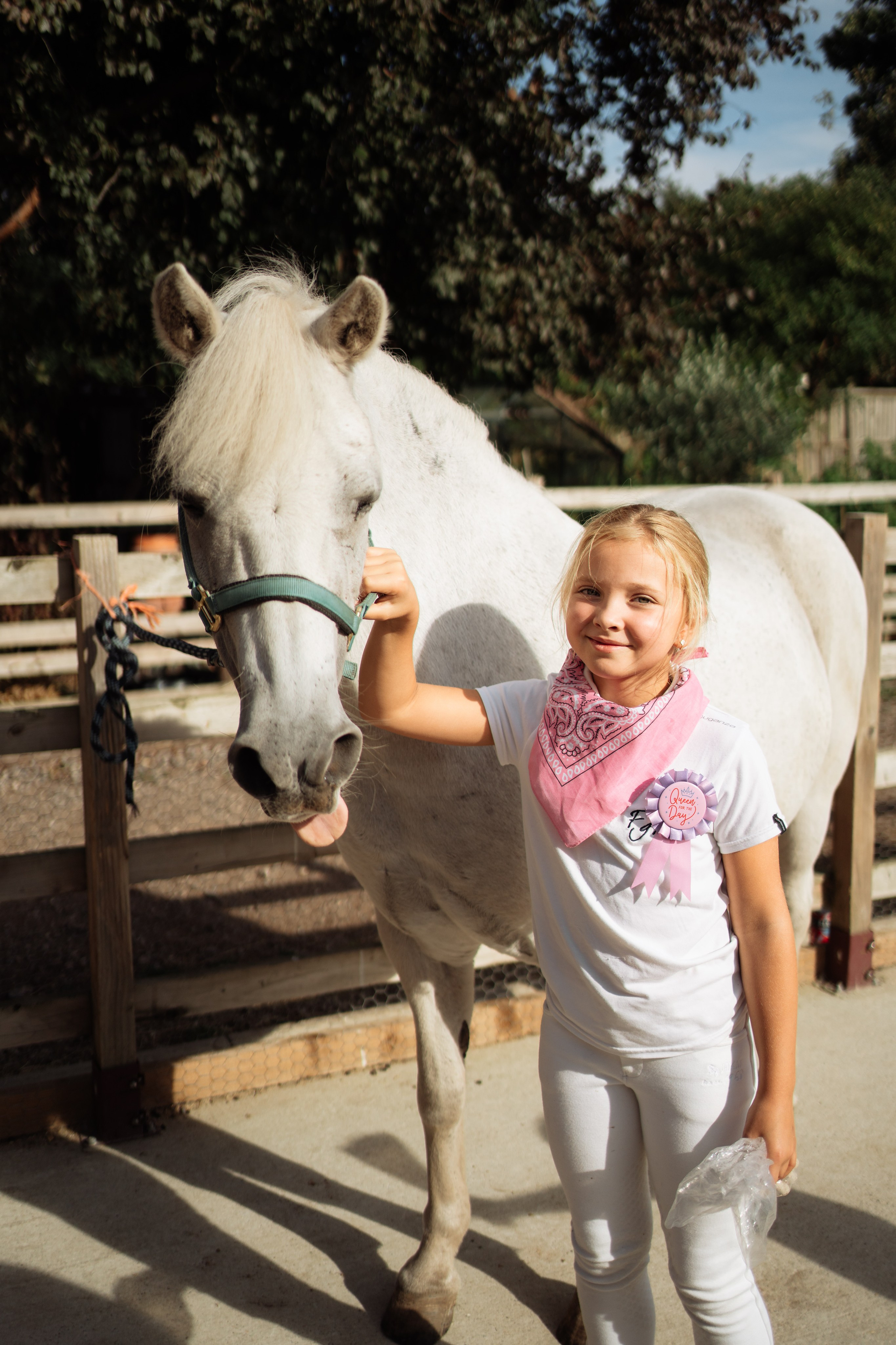 Horse party. Photographer in London Daria Agafonova