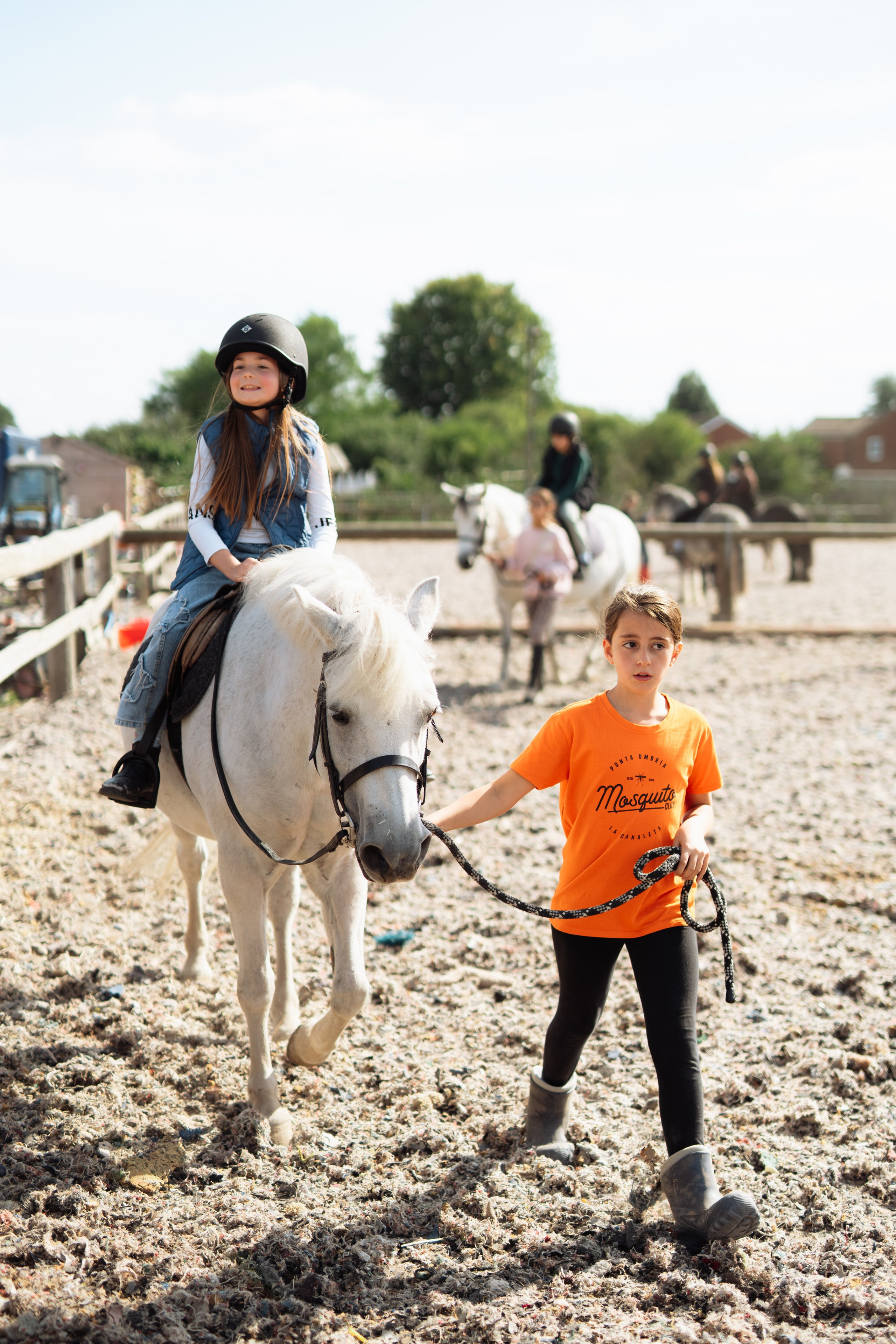 Horse party. Photographer in London Daria Agafonova