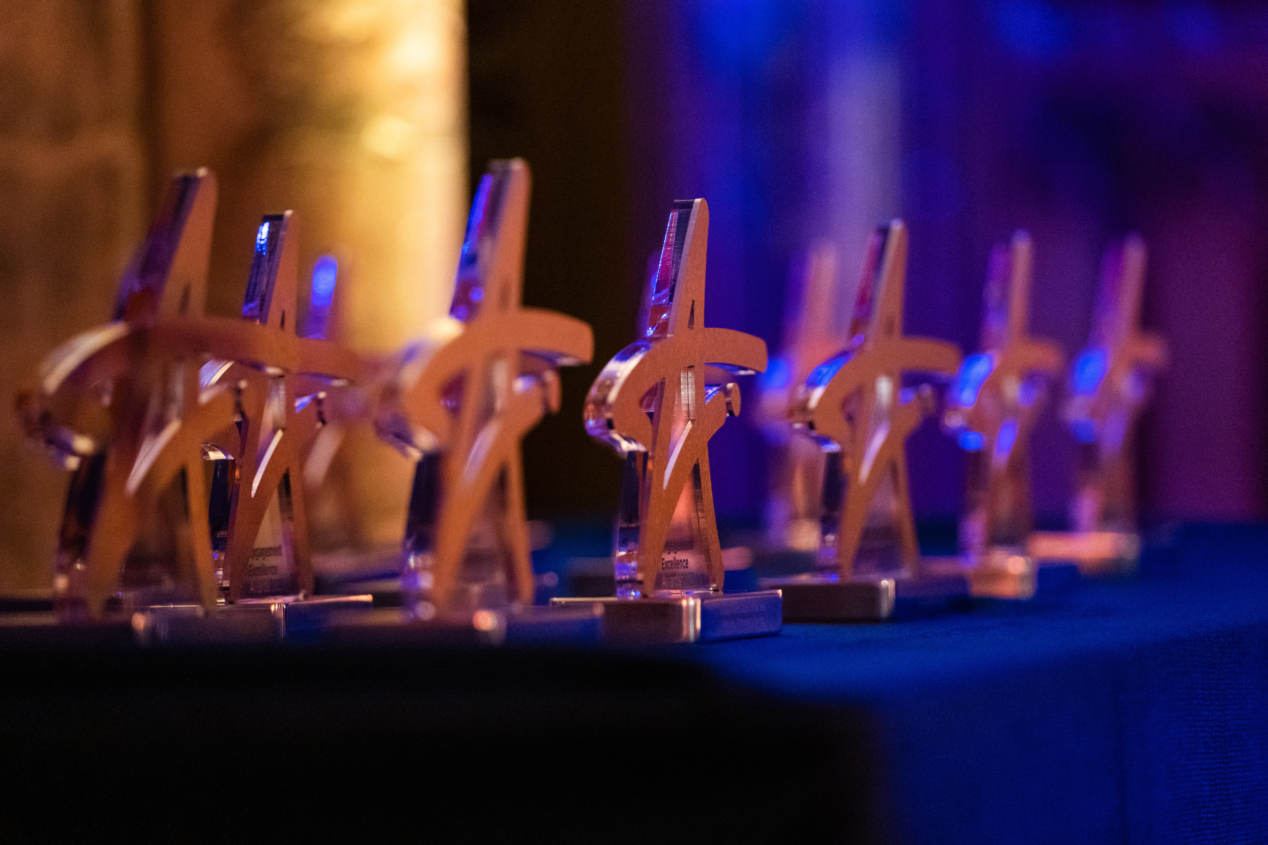 Engagement Excellence Awards. London. Photographer in London Daria Agafonova