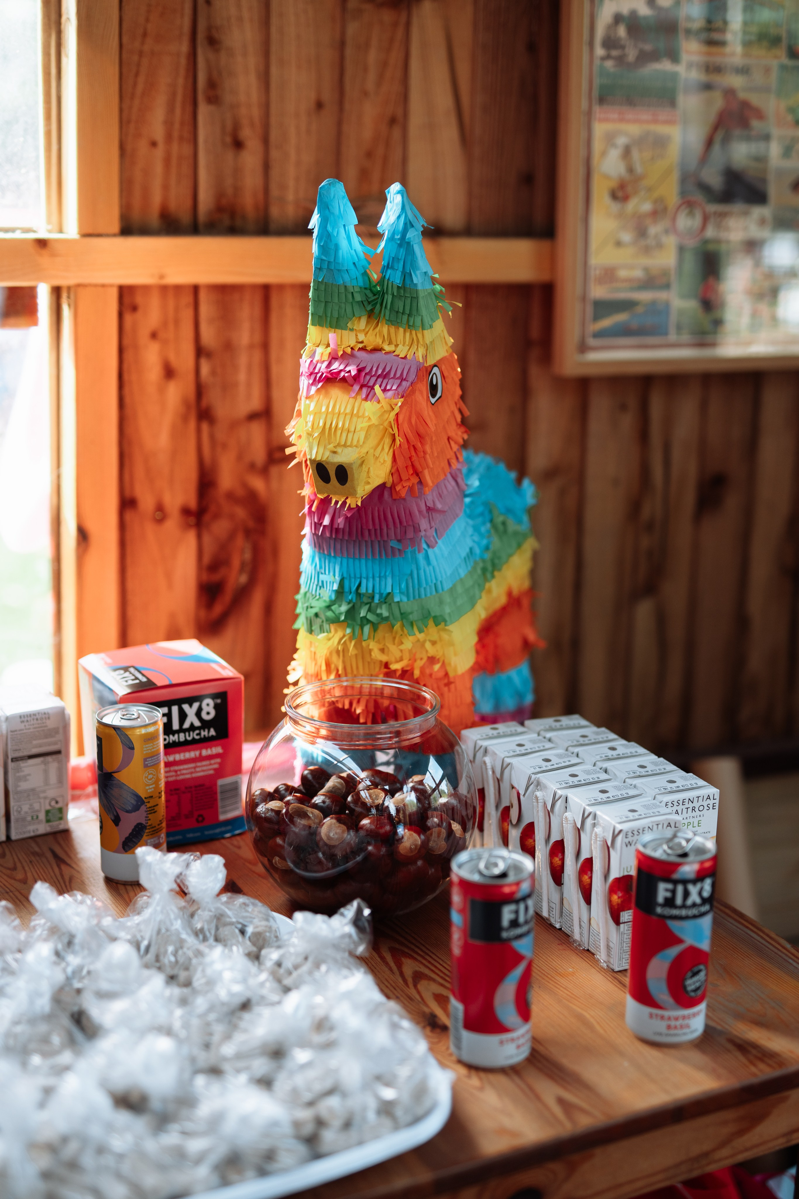 Horse party. Photographer in London Daria Agafonova