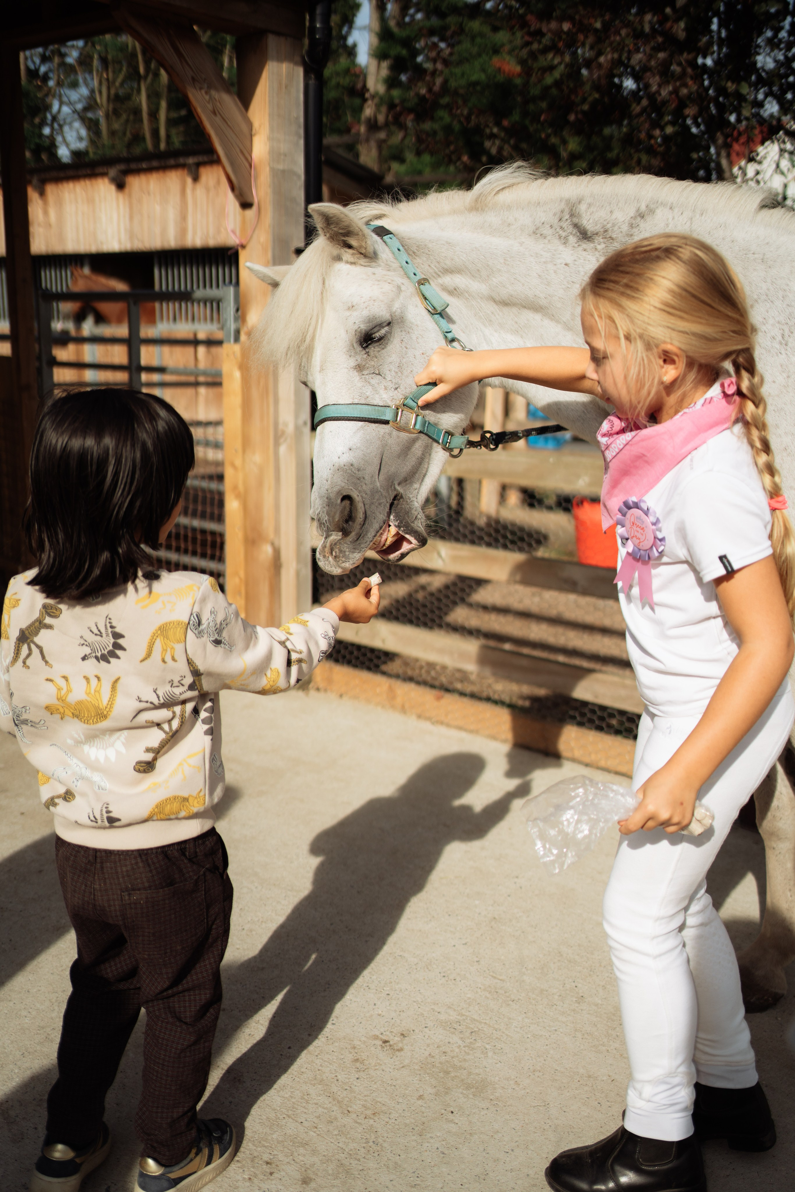 Horse party. Photographer in London Daria Agafonova