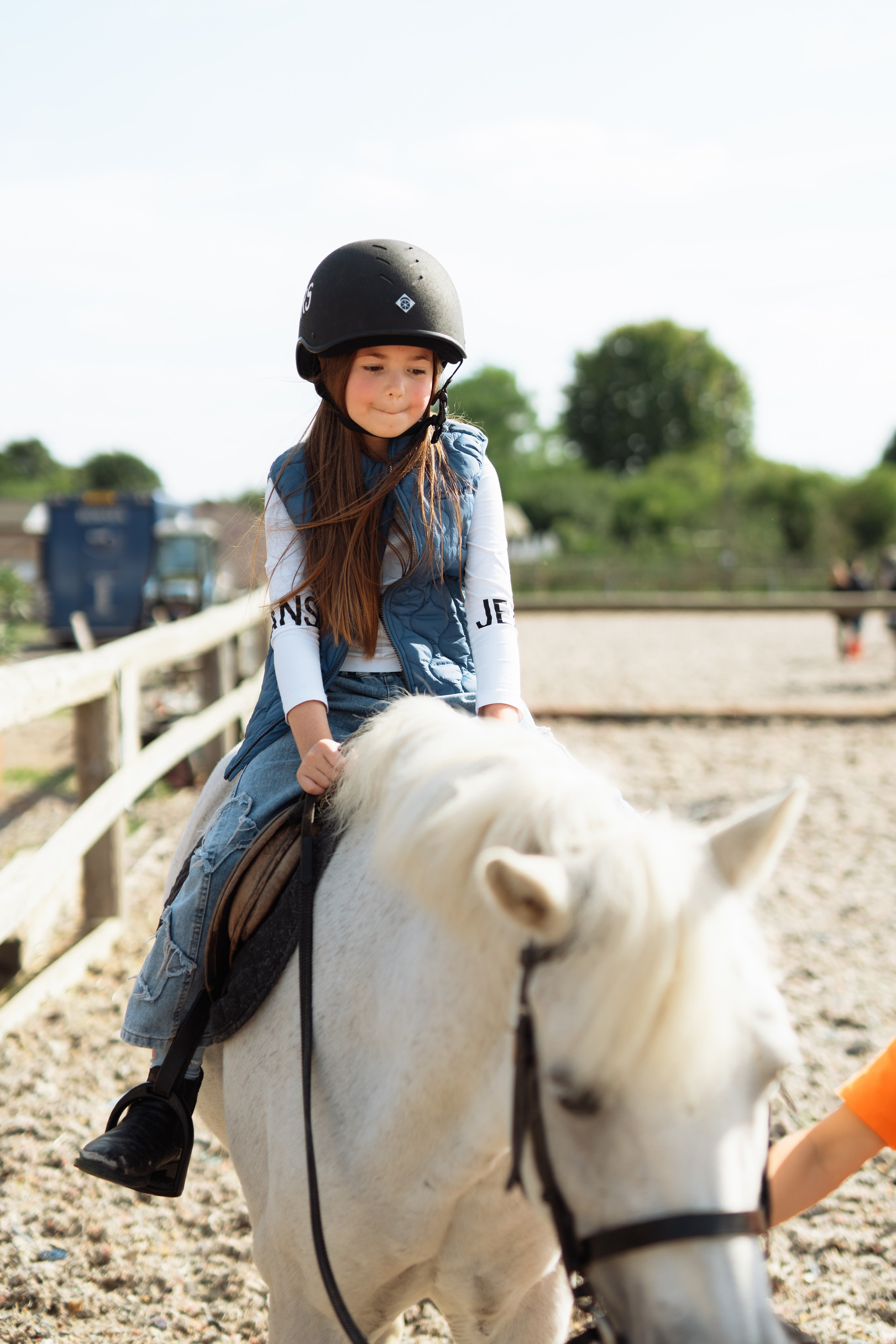 Horse party. Photographer in London Daria Agafonova