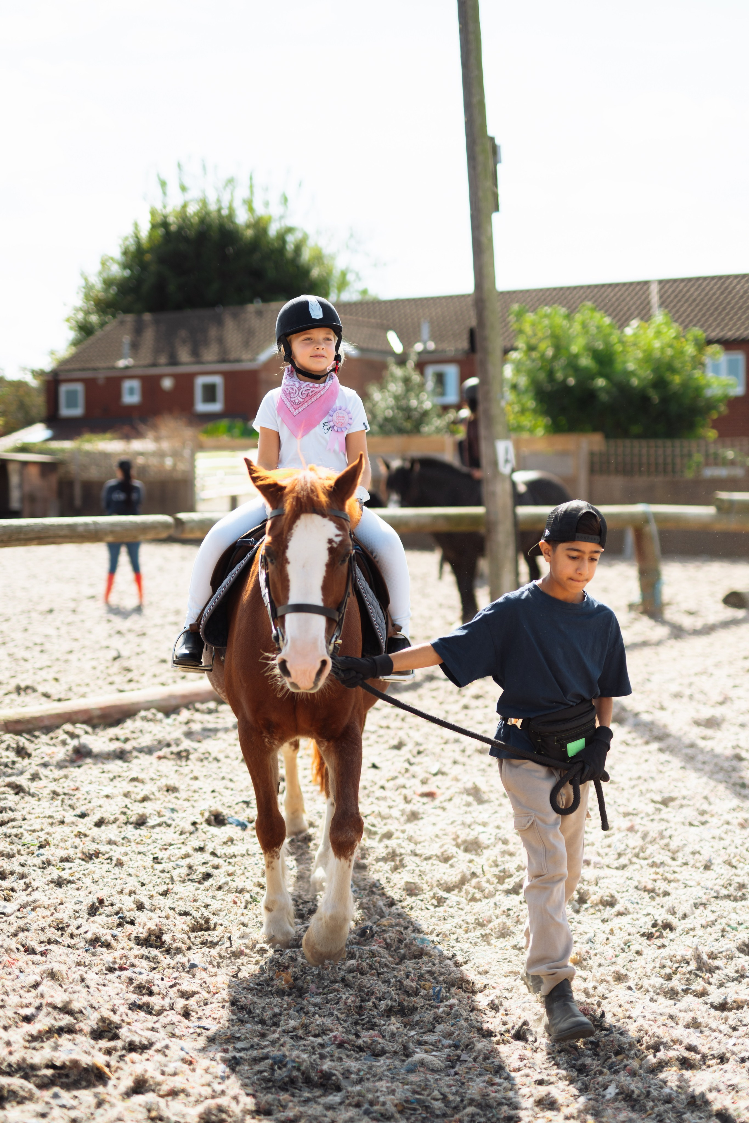 Horse party. Photographer in London Daria Agafonova