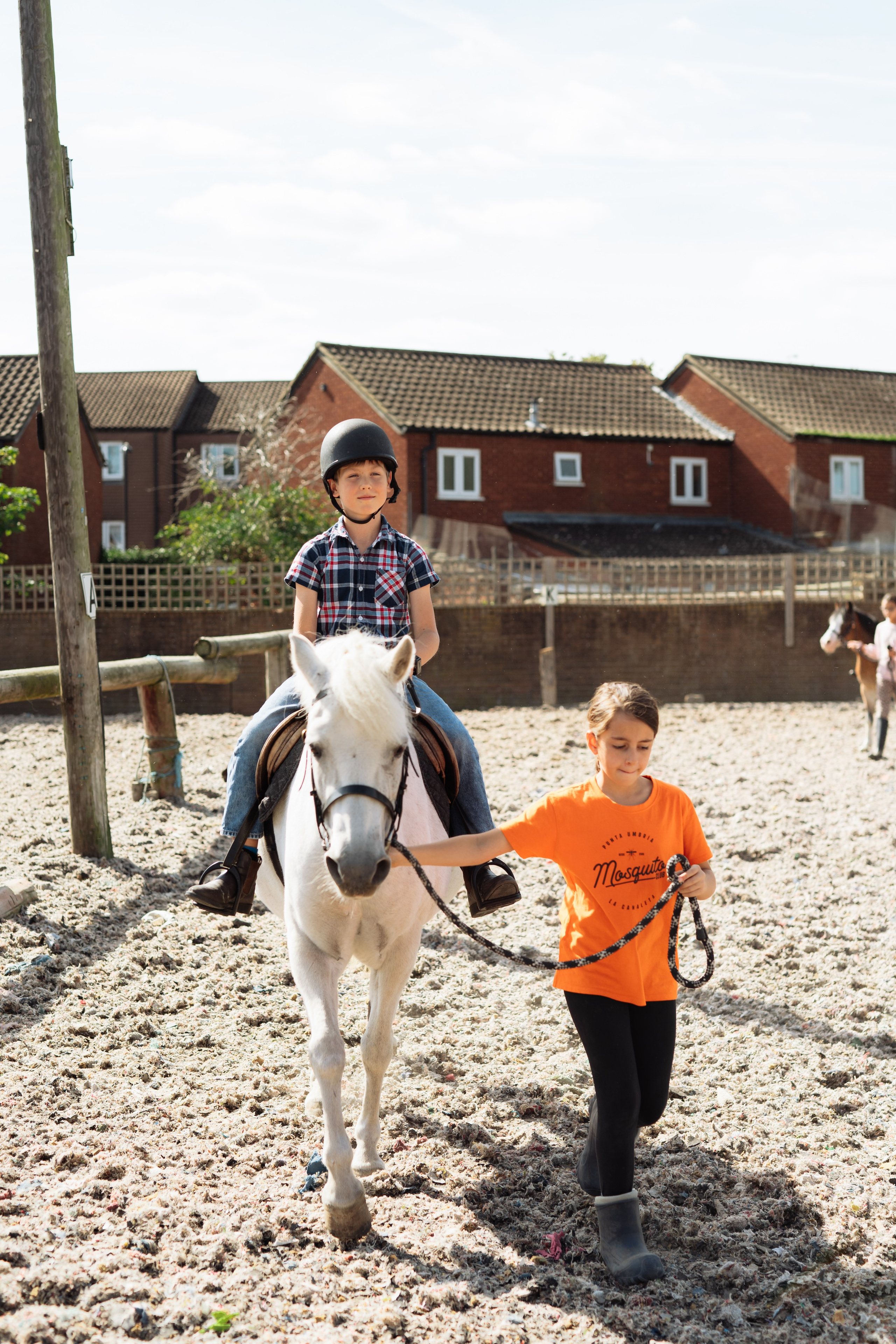 Horse party. Photographer in London Daria Agafonova