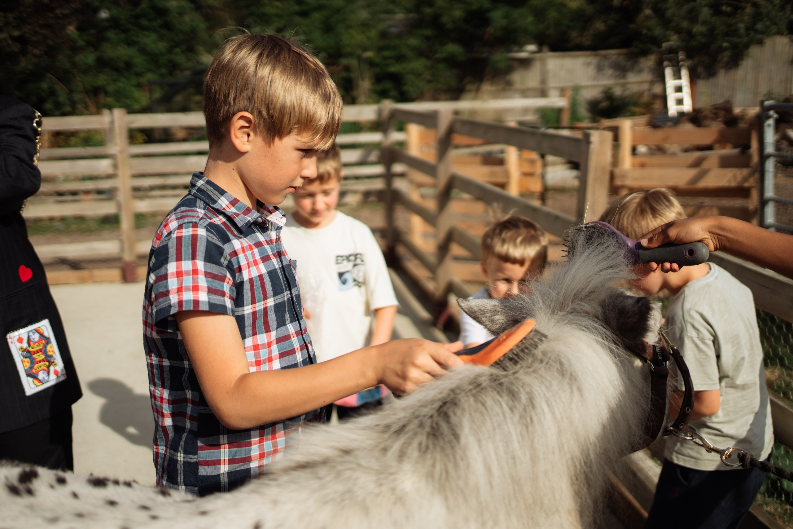 Horse party. Photographer in London Daria Agafonova