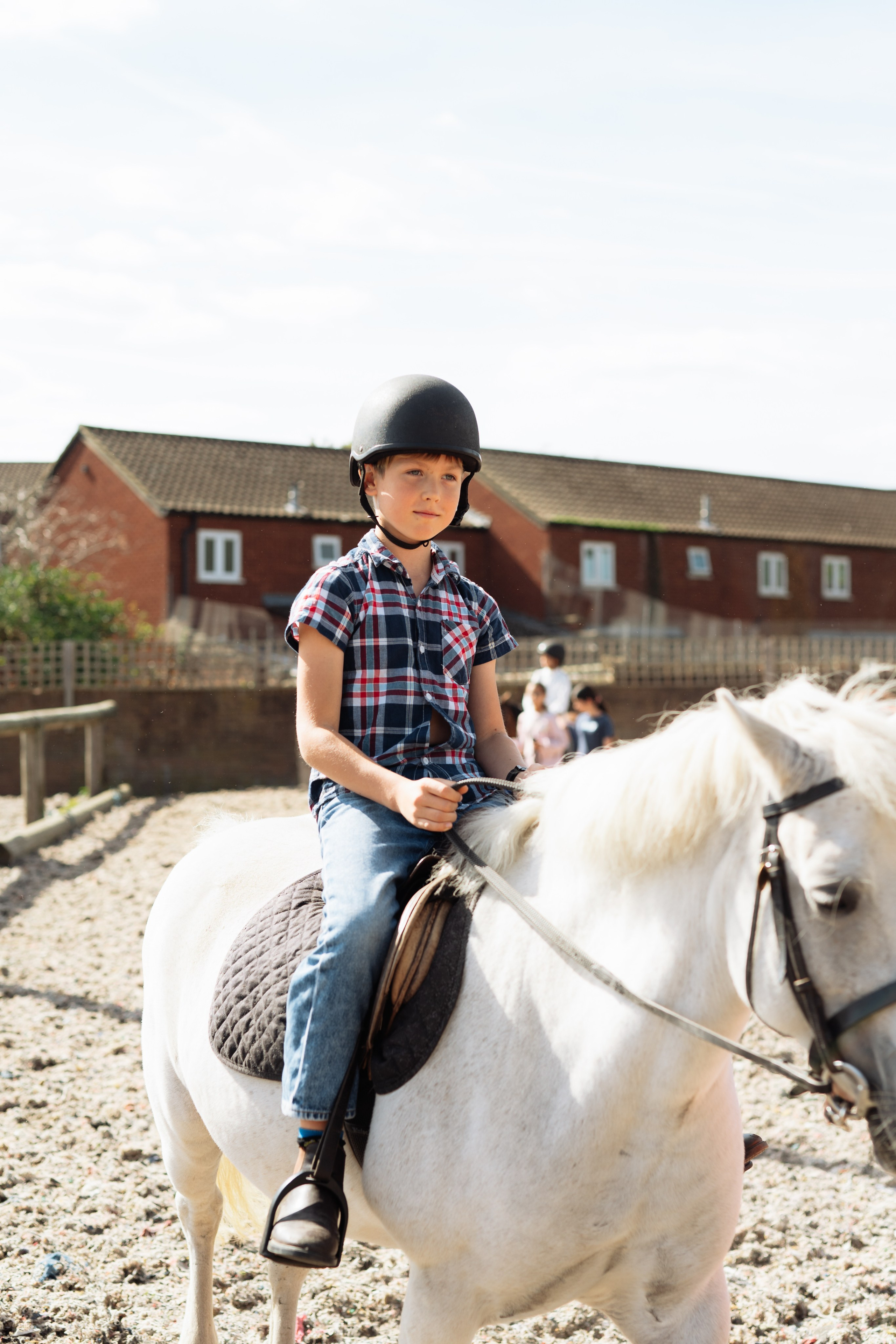Horse party. Photographer in London Daria Agafonova
