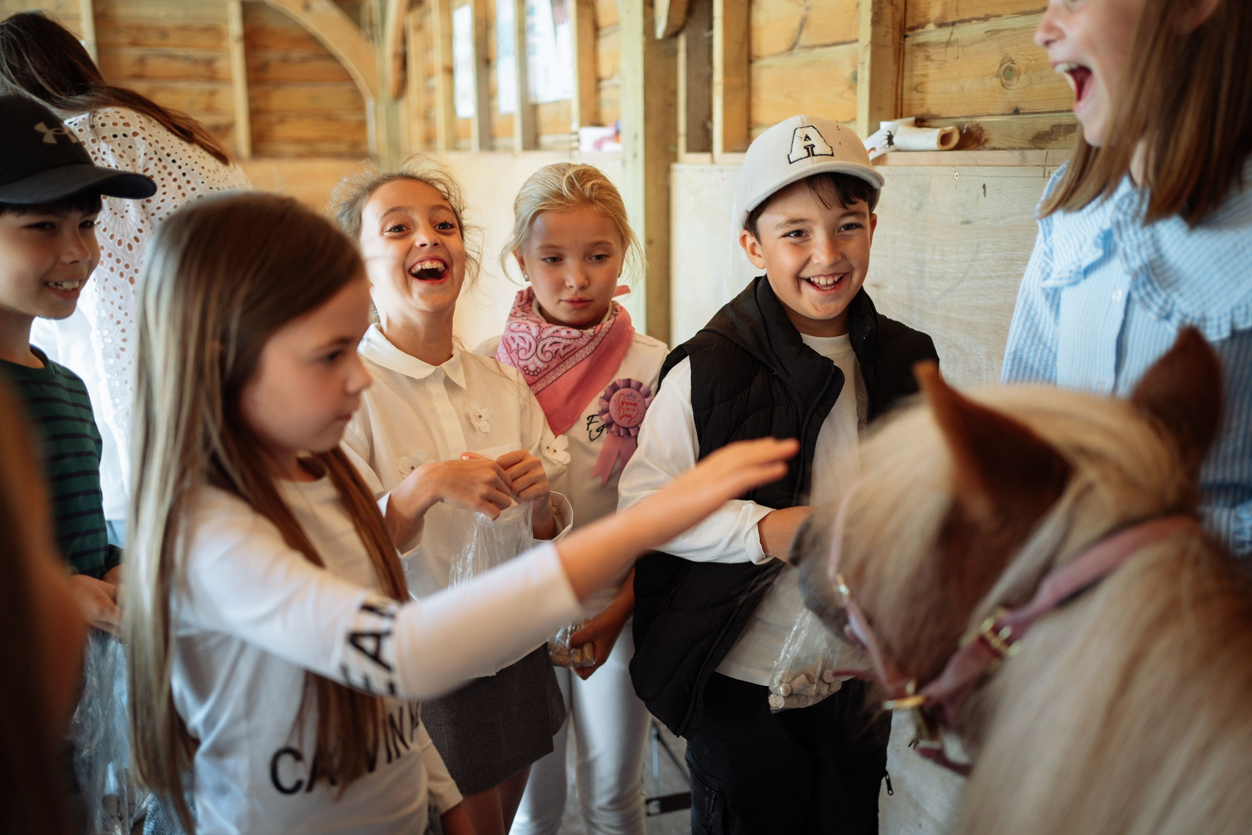 Horse party. Photographer in London Daria Agafonova