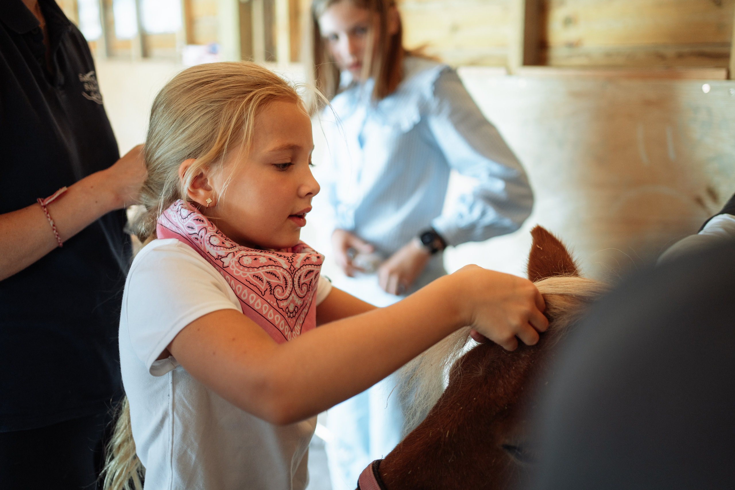 Horse party. Photographer in London Daria Agafonova