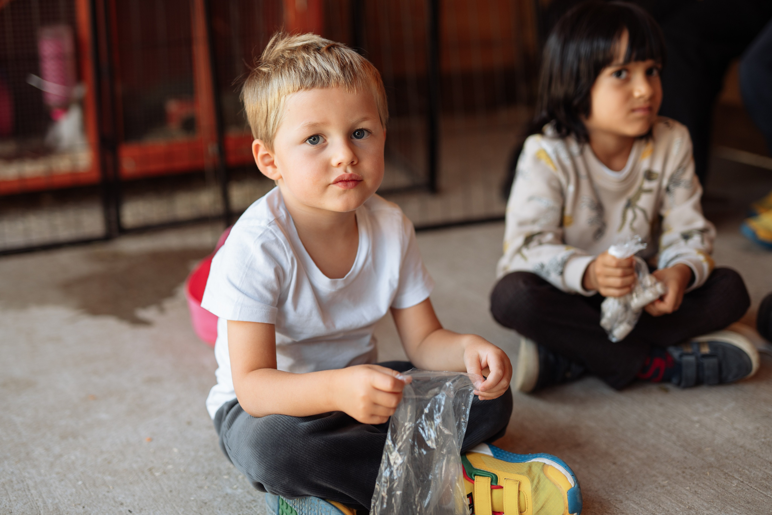 Horse party. Photographer in London Daria Agafonova