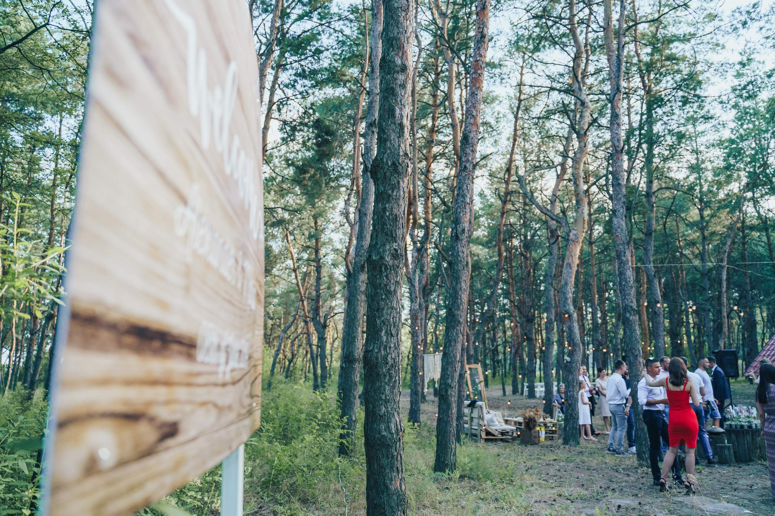 Forest wedding. Maria and Oleksandr. Photographer in London Daria Agafonova