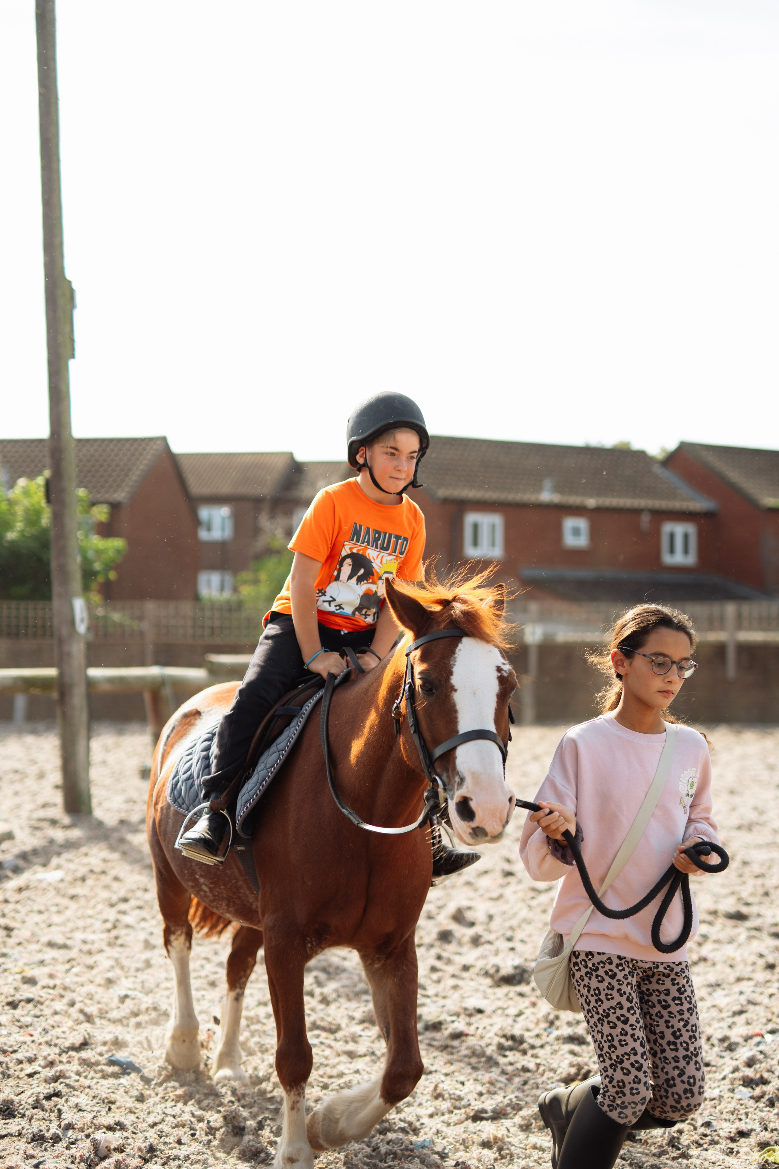 Horse party. Photographer in London Daria Agafonova