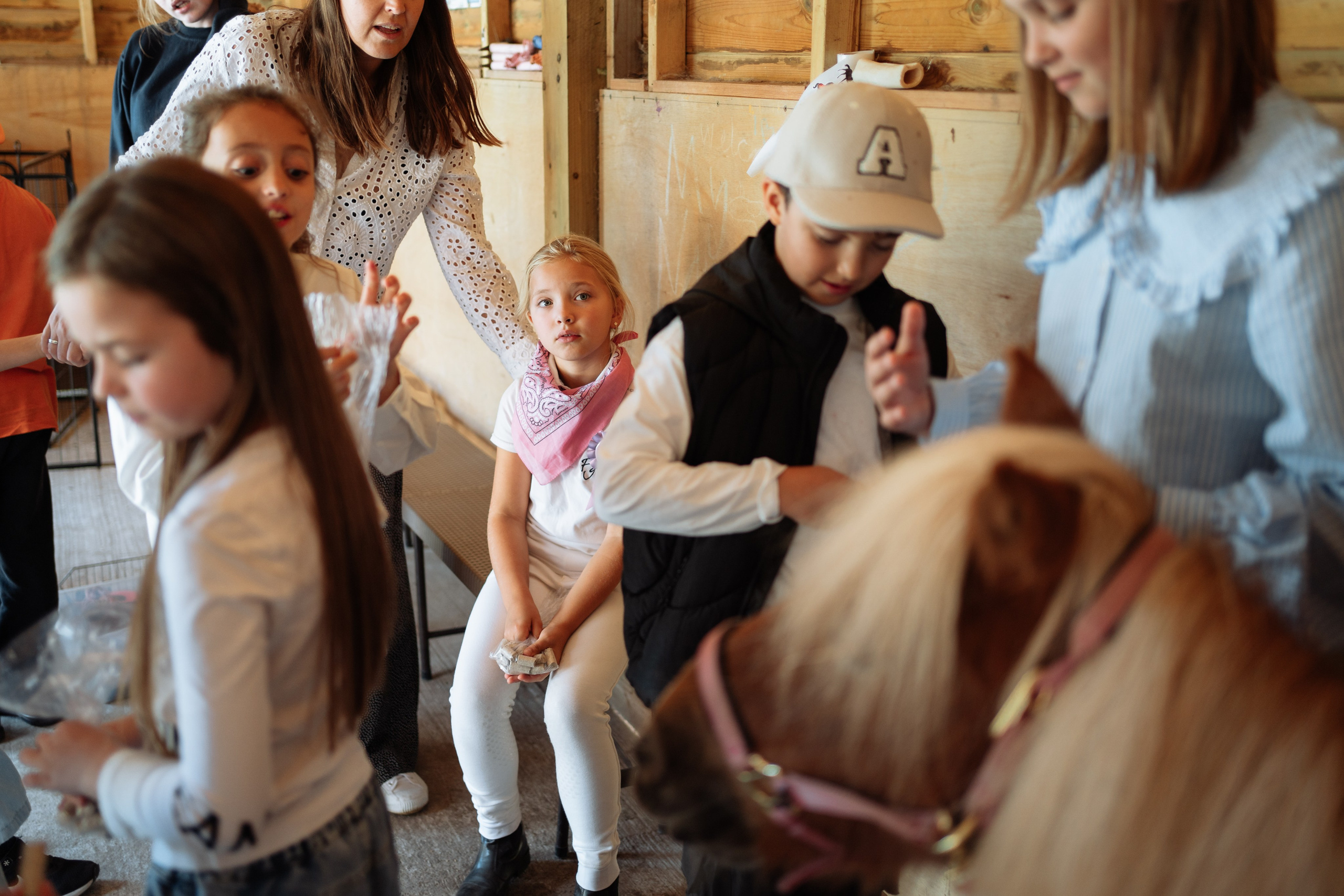 Horse party. Photographer in London Daria Agafonova