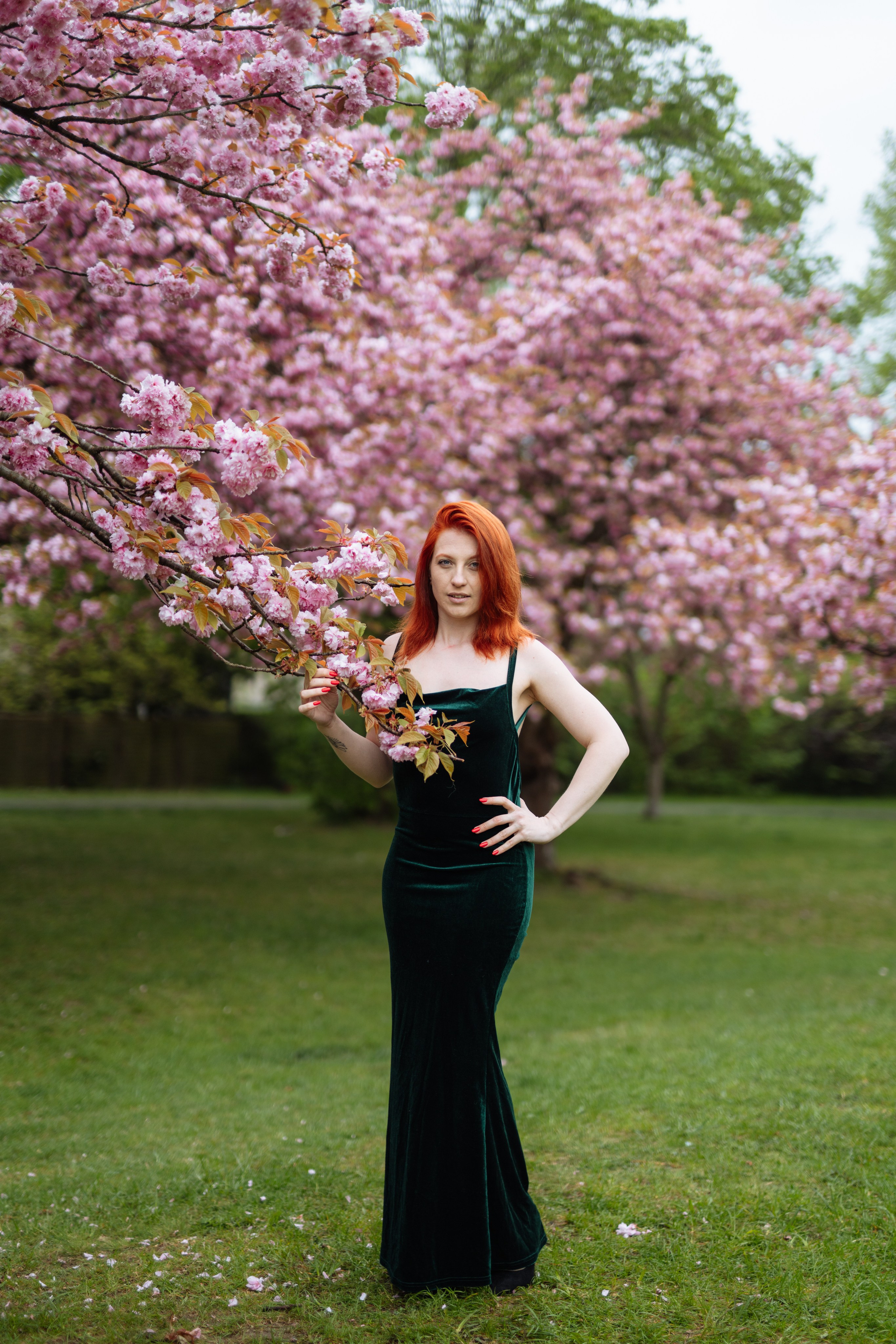 Fully blloming. Photographer in London Daria Agafonova