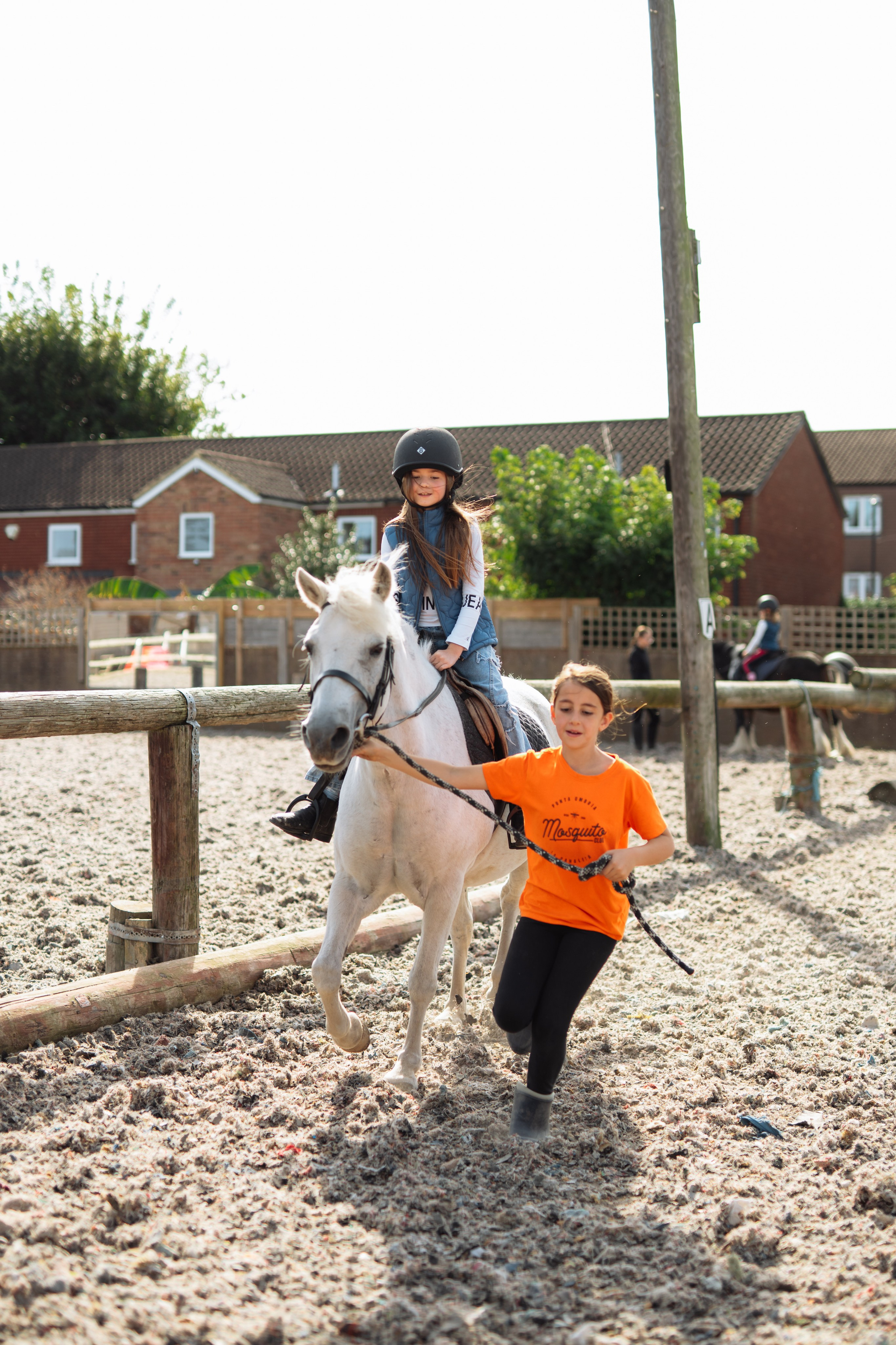 Horse party. Photographer in London Daria Agafonova