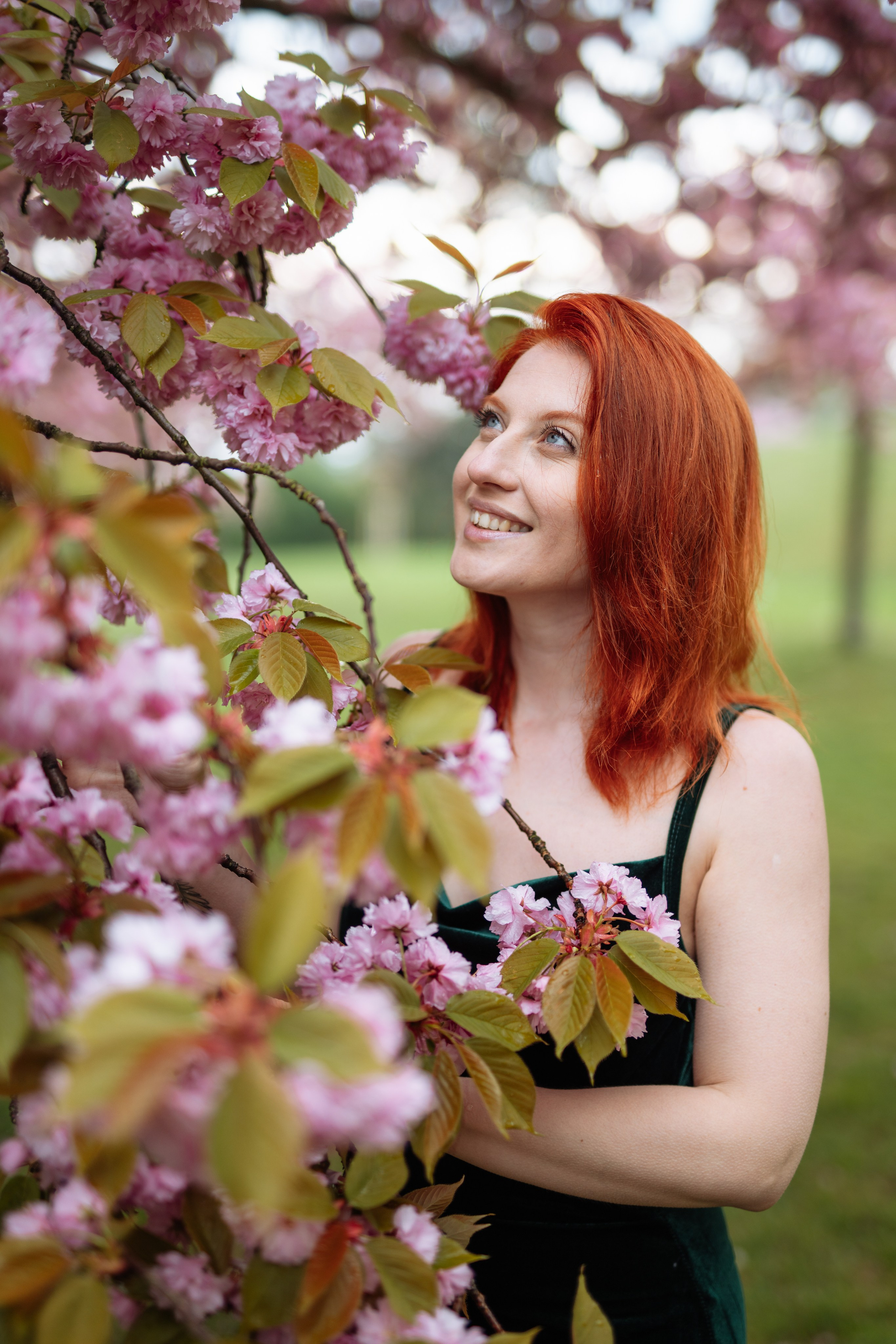 Fully blloming. Photographer in London Daria Agafonova