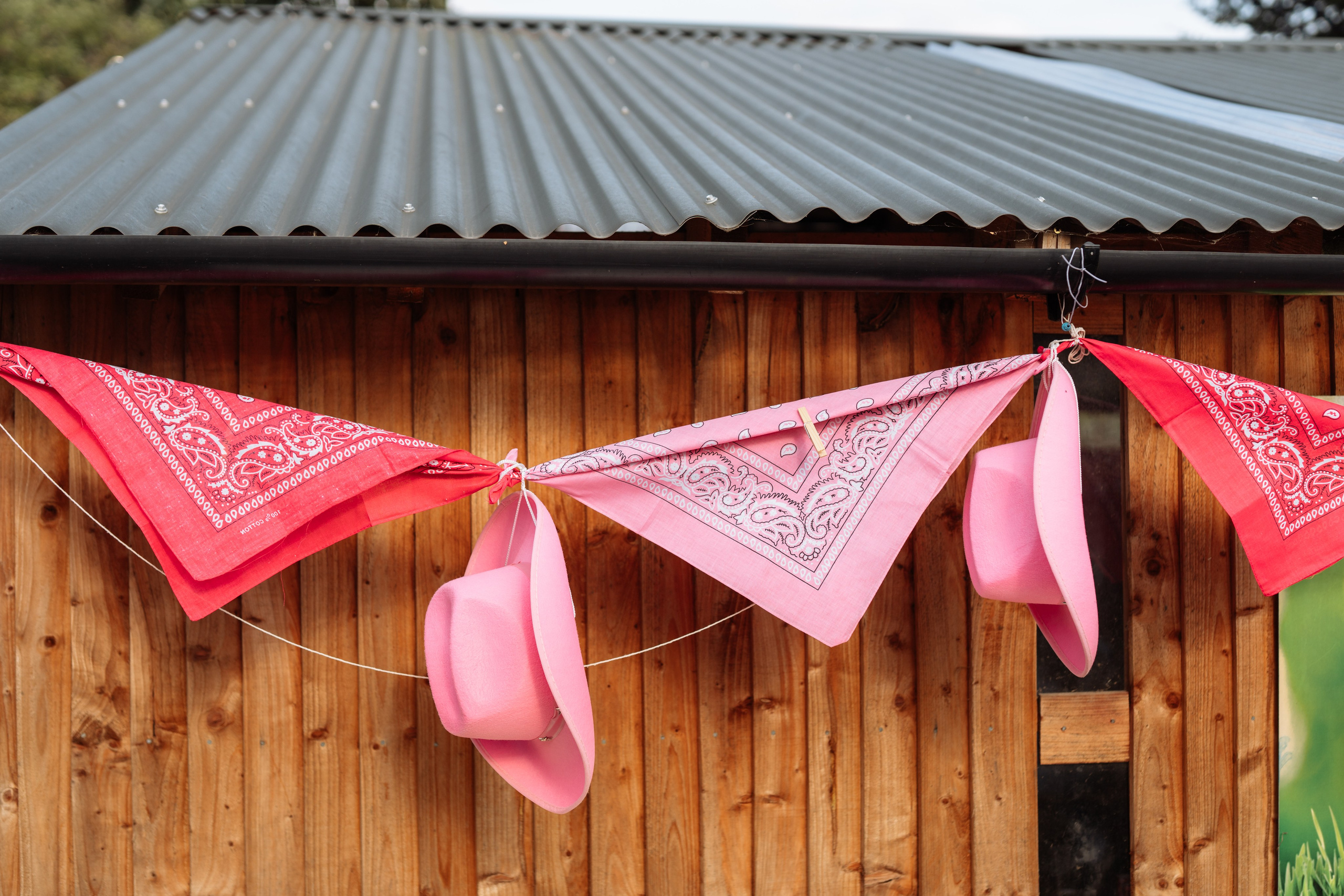 Horse party. Photographer in London Daria Agafonova