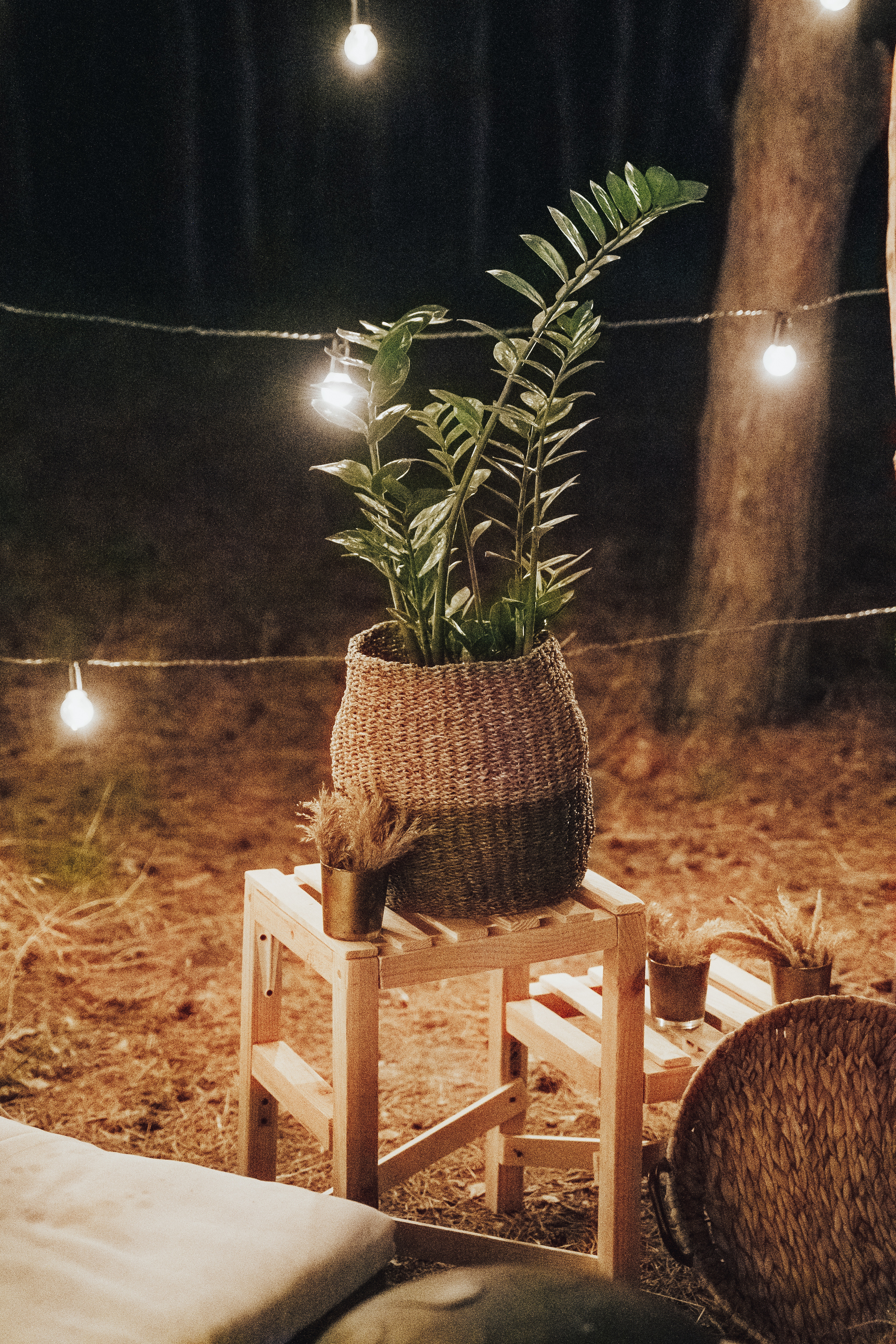 Forest wedding. Maria and Oleksandr. Photographer in London Daria Agafonova
