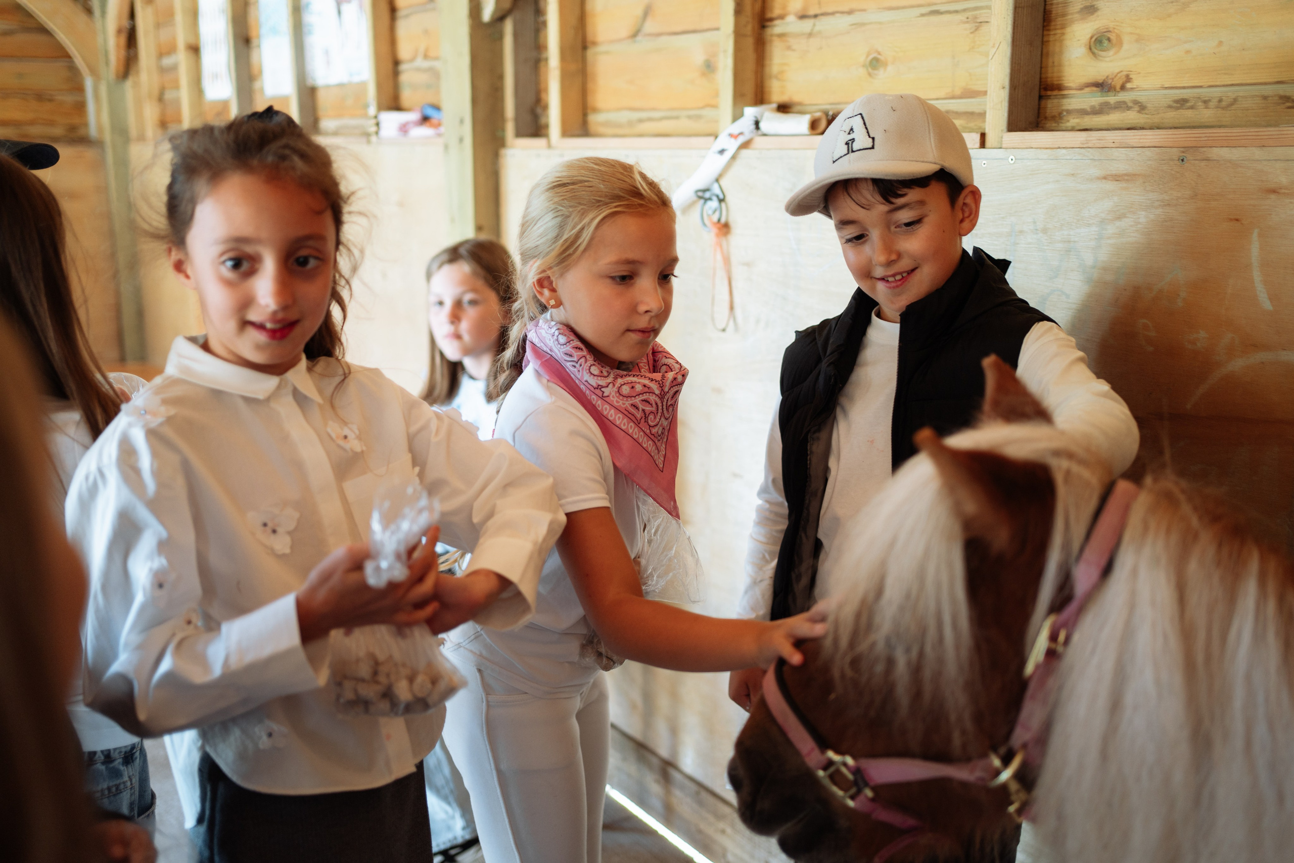 Horse party. Photographer in London Daria Agafonova