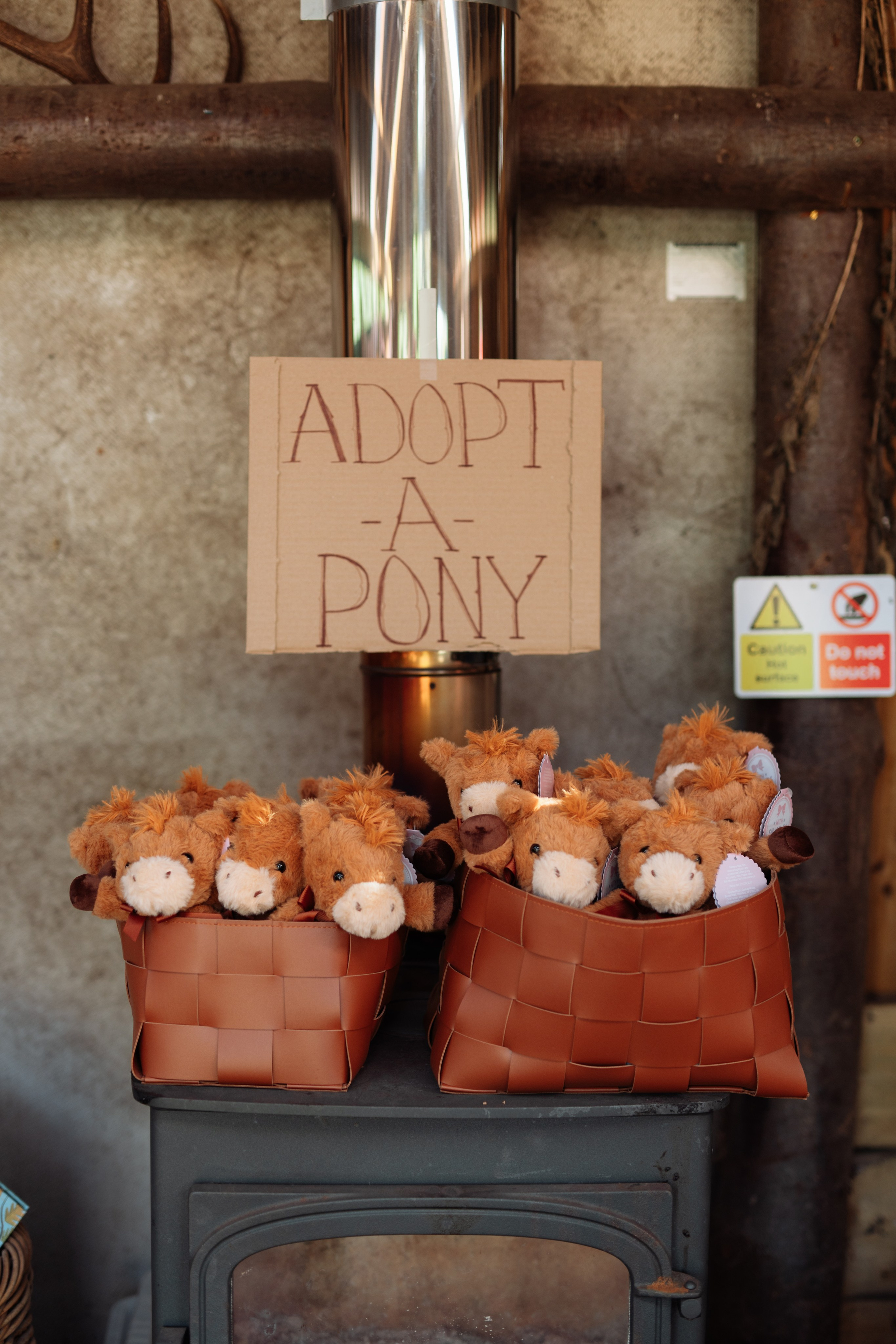 Horse party. Photographer in London Daria Agafonova