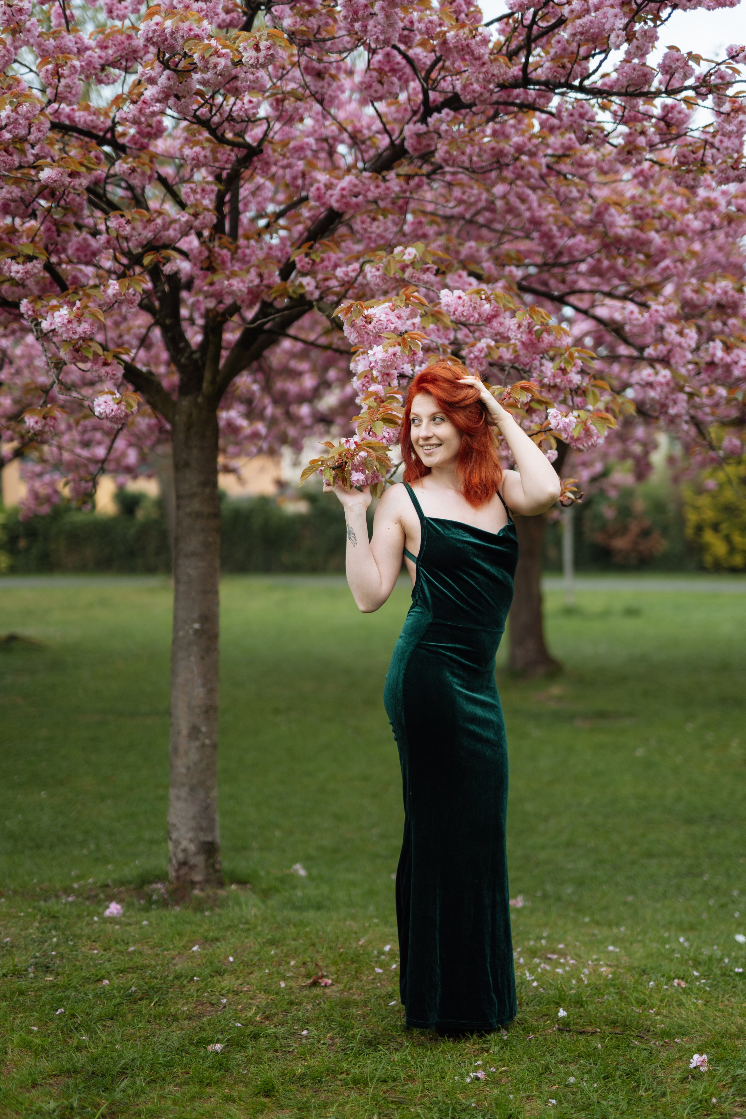 Fully blloming. Photographer in London Daria Agafonova