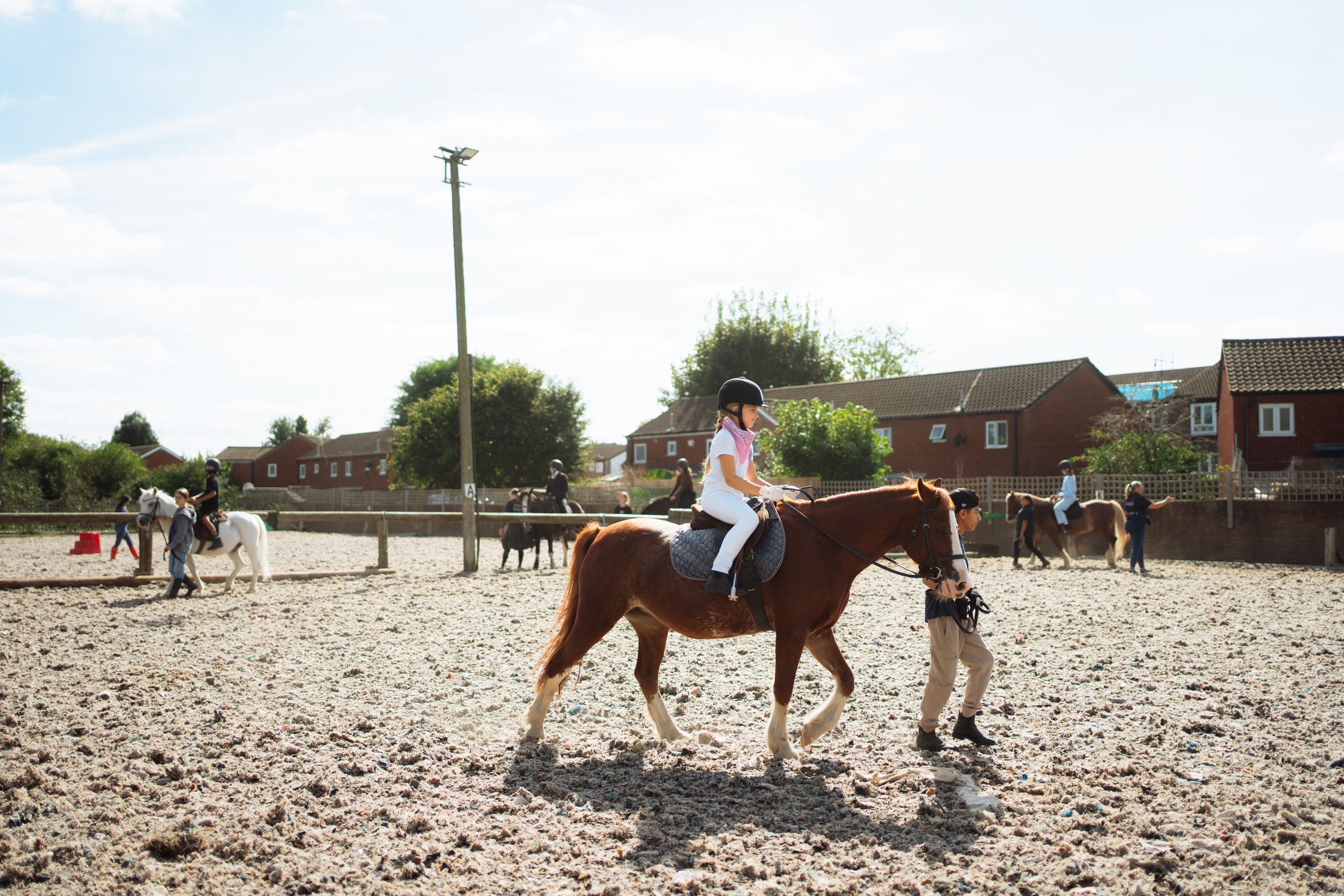 Horse party. Photographer in London Daria Agafonova