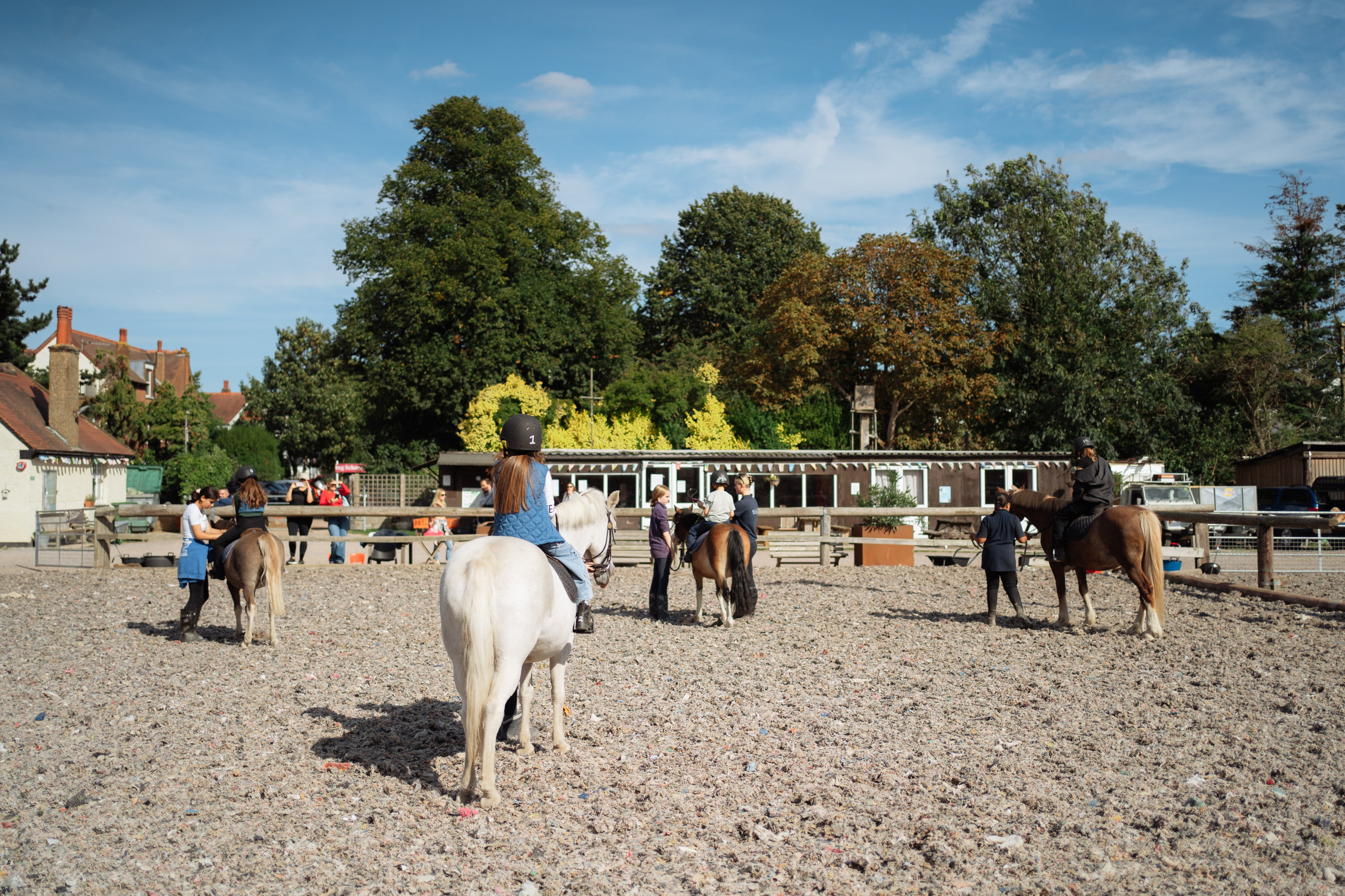 Horse party. Photographer in London Daria Agafonova