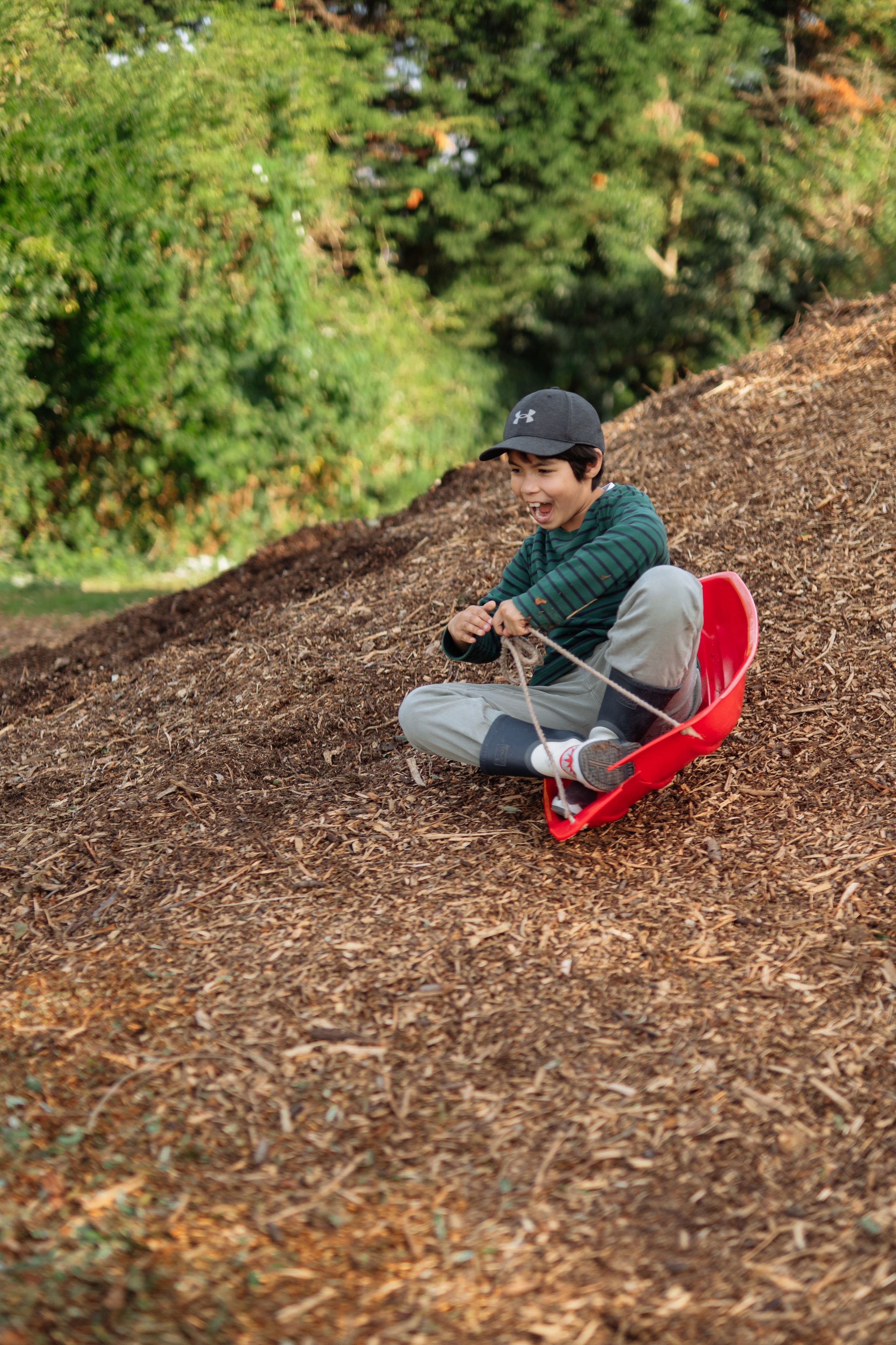 Horse party. Photographer in London Daria Agafonova